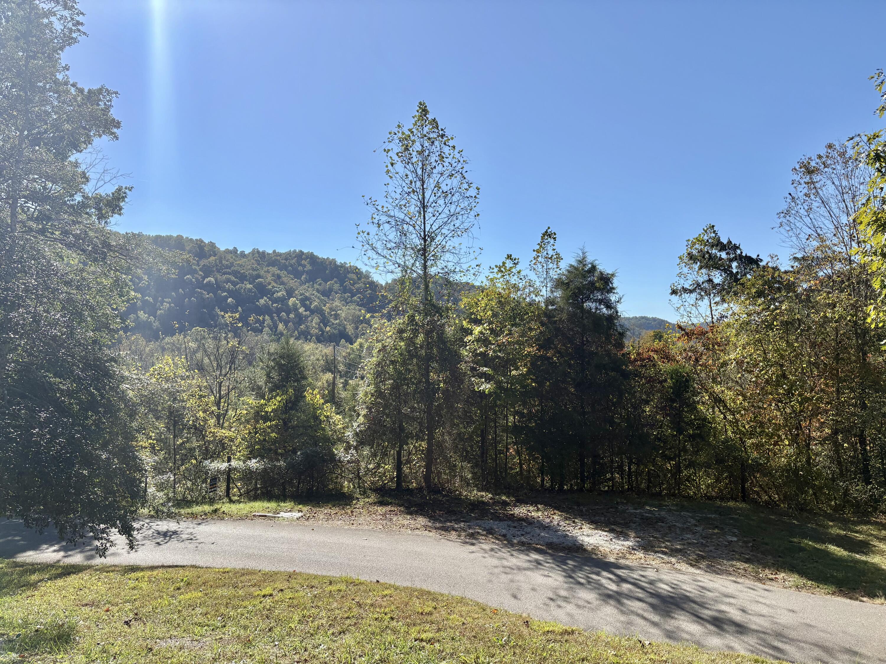 68 Star Gap Road Property Photo 26