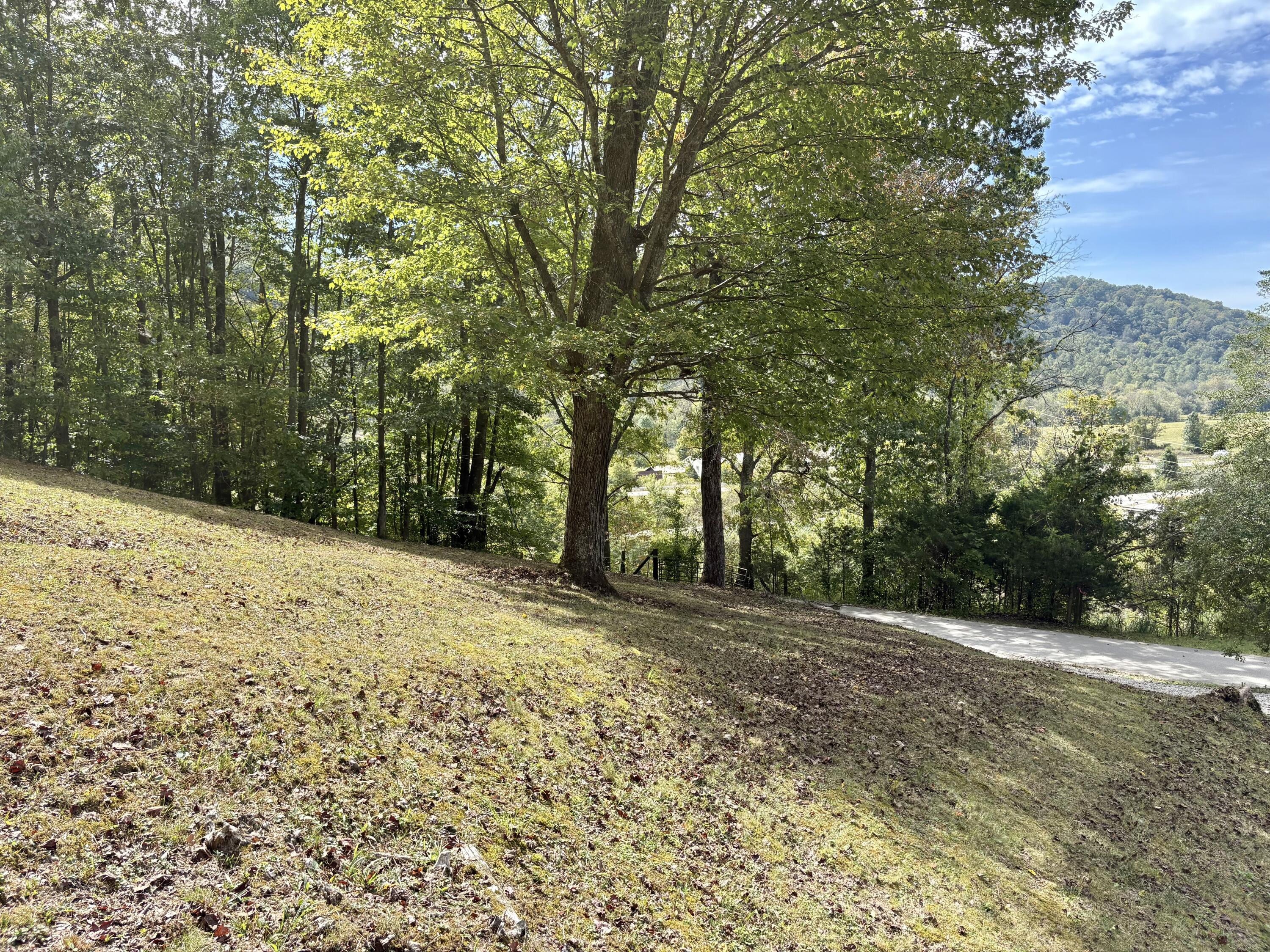 68 Star Gap Road Property Photo 28