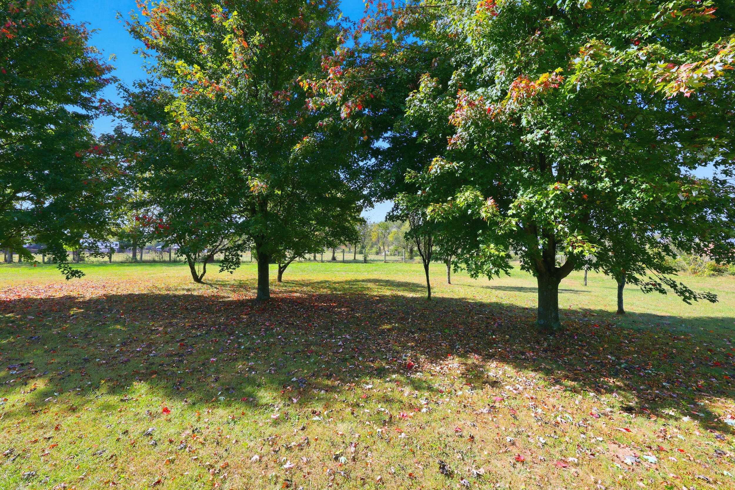 1895 Clear Creek Road Property Photo 32