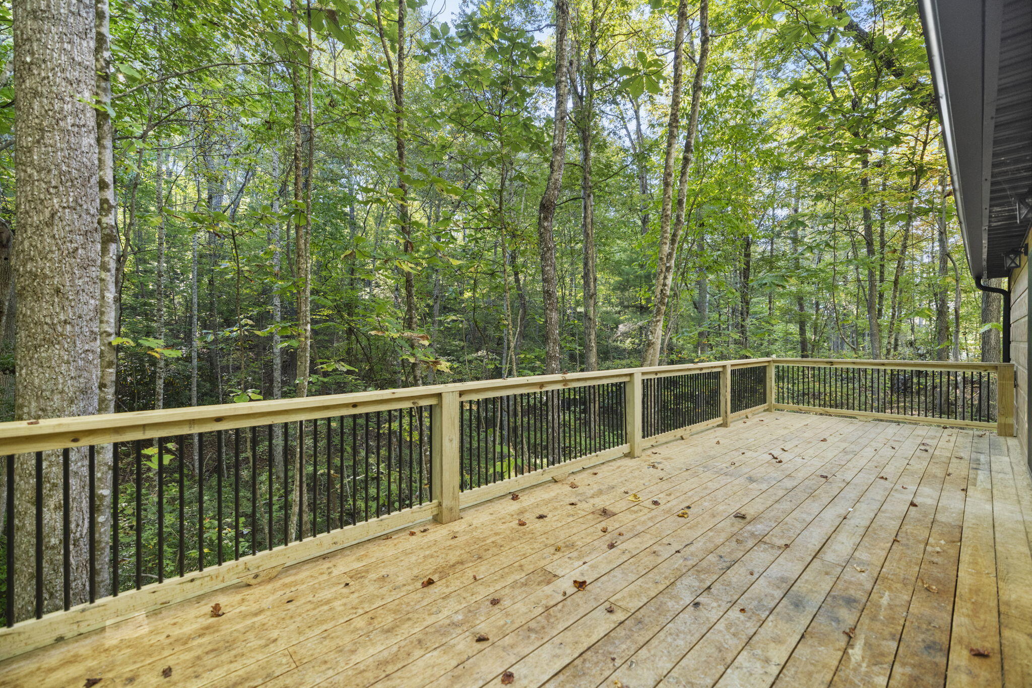 120 Eureka Road Property Photo 37