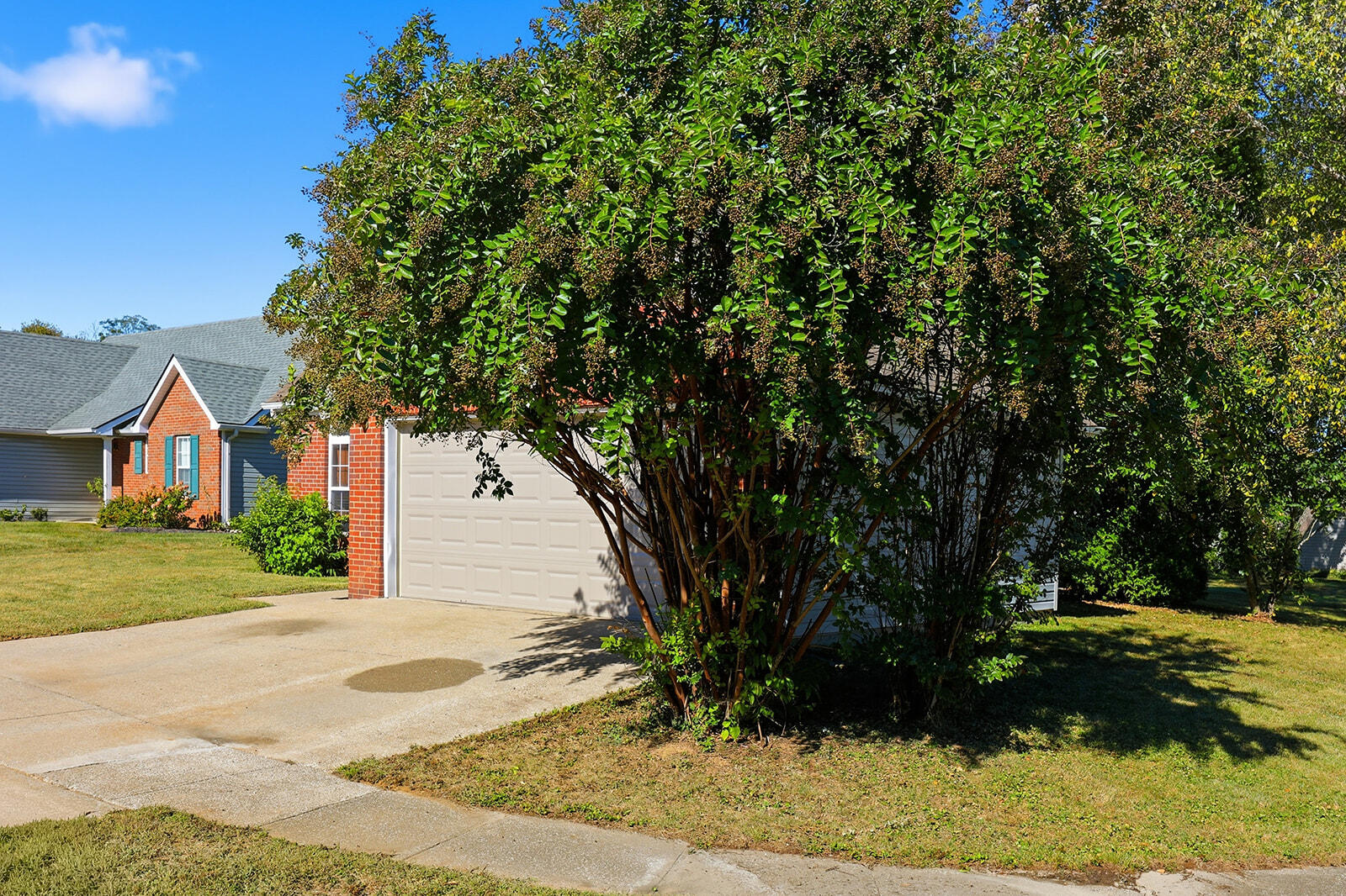 1341 Equestrian Way Property Photo 36