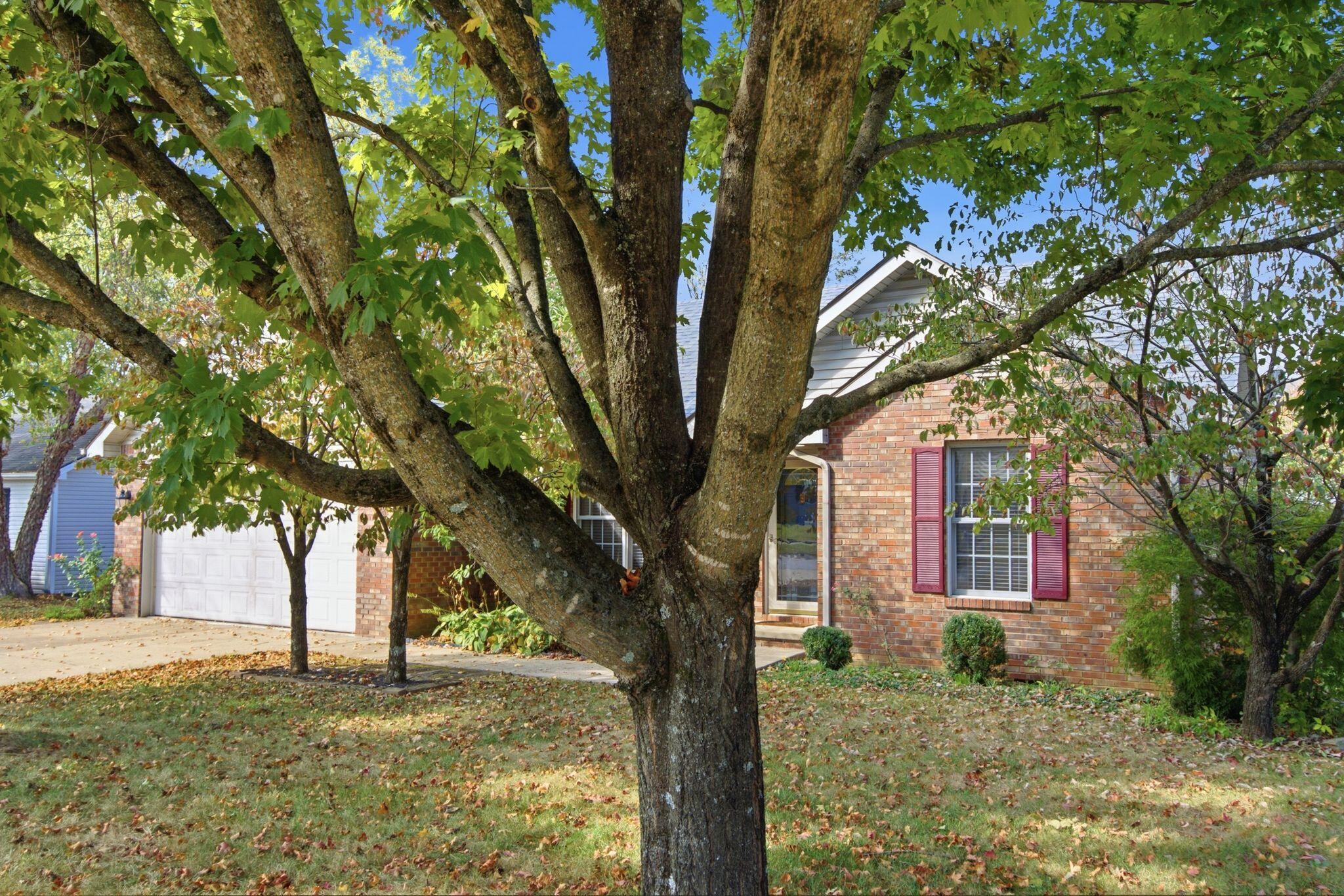 131 Sturbridge Drive Property Photo 8