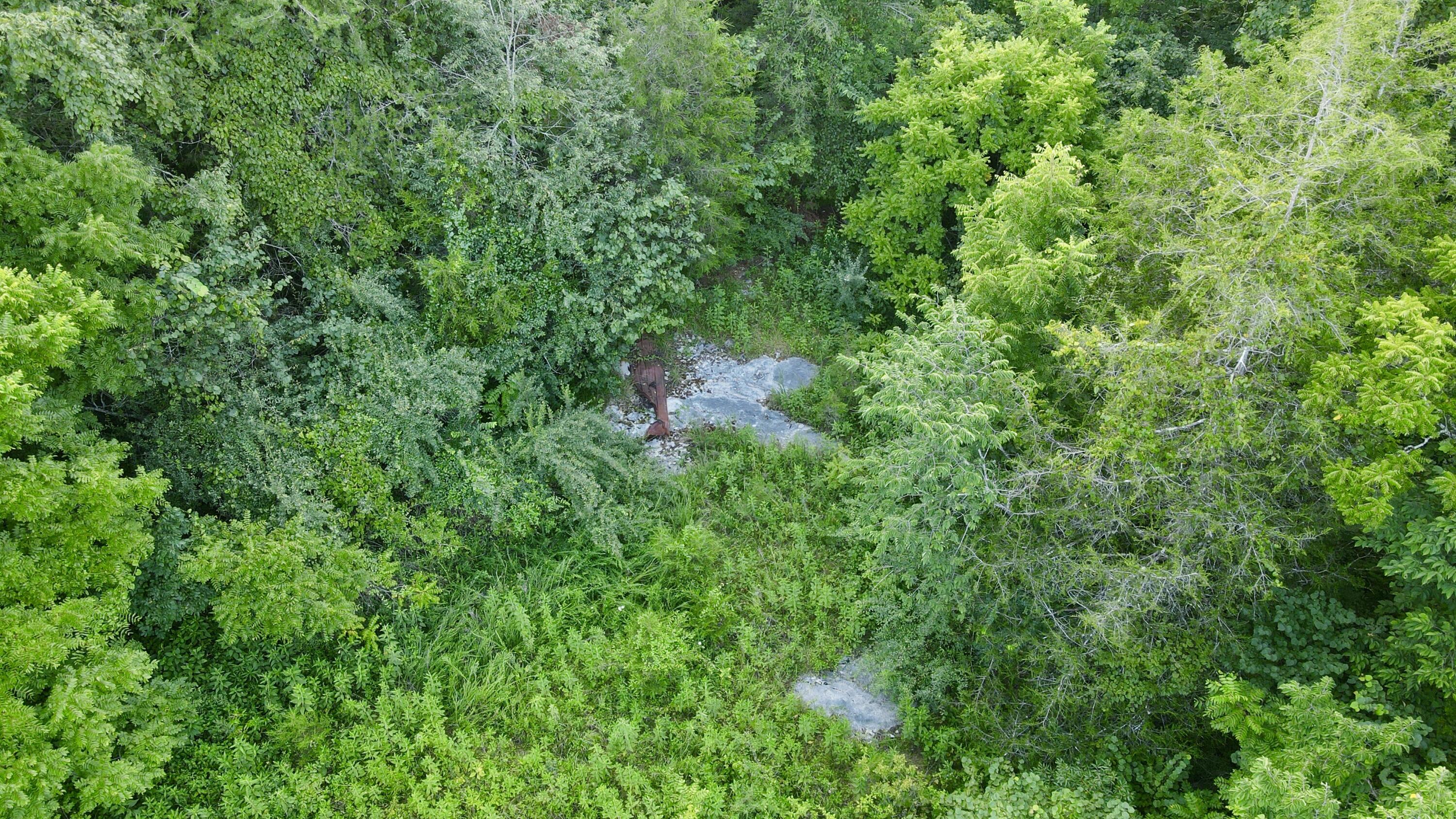 000 Tract 1 Haynes Cemetery Property Photo 11