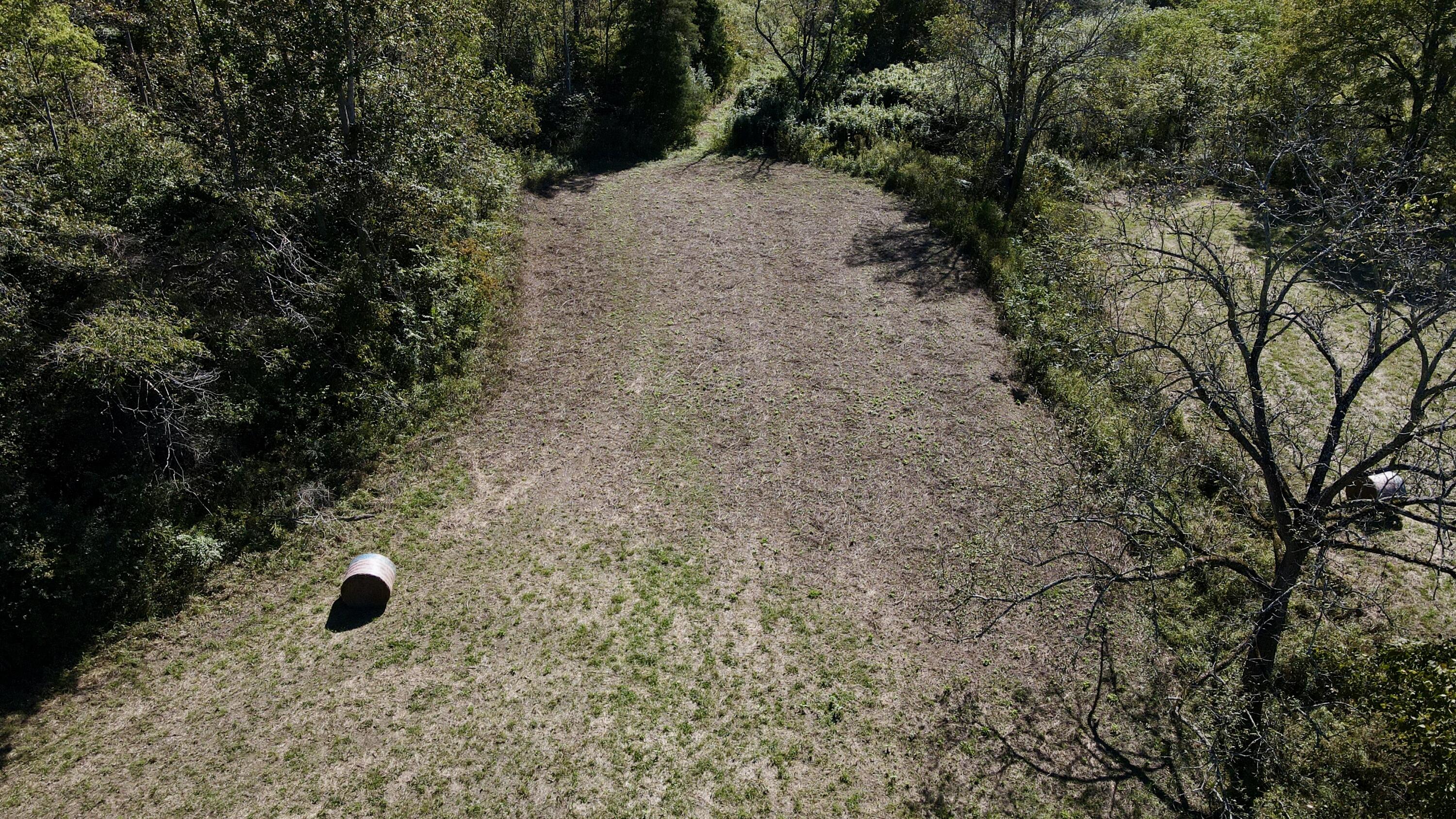 000 Tract 1 Haynes Cemetery Property Photo 21