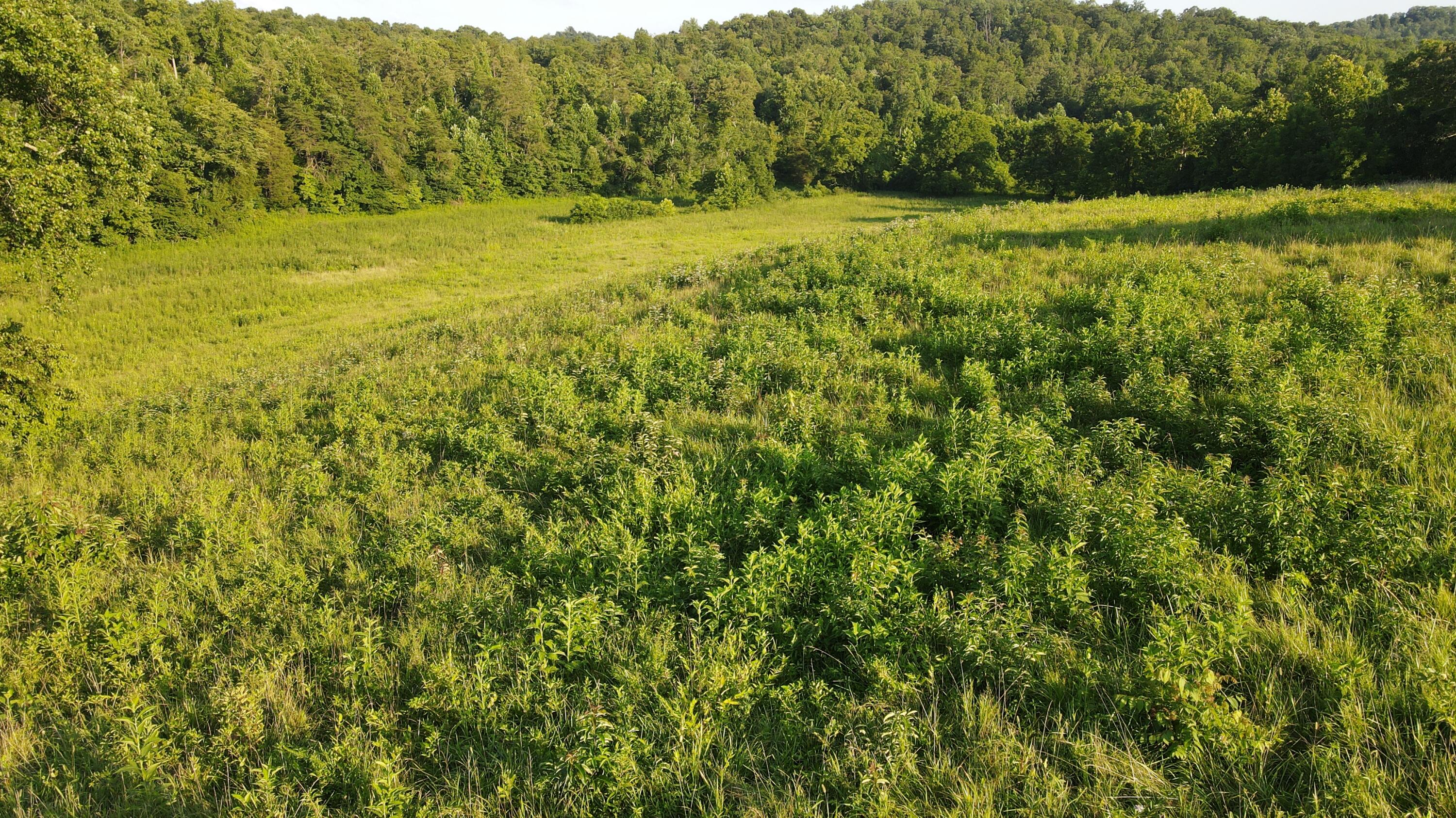 000 Tract 1 Haynes Cemetery Property Photo 25