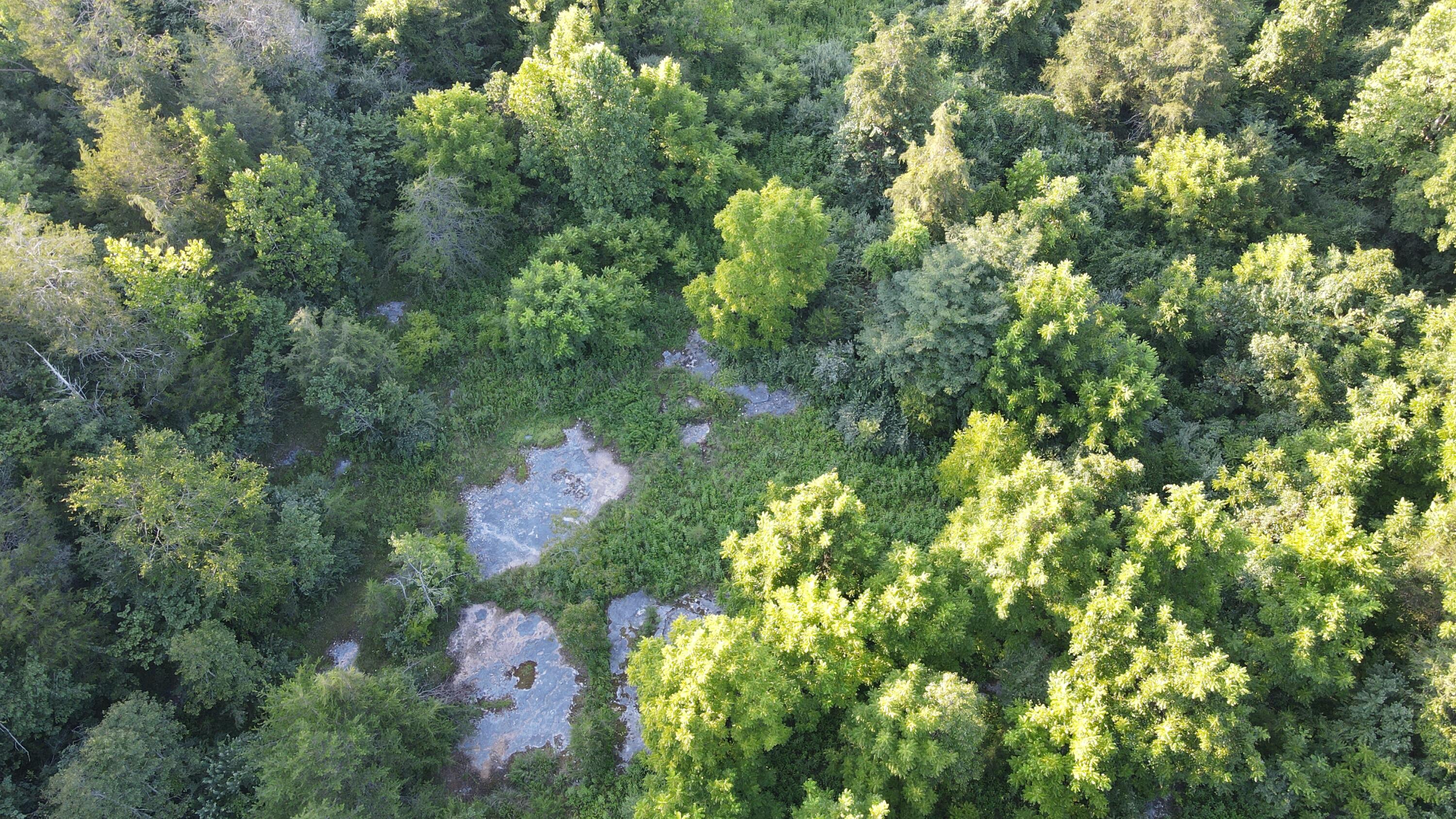 000 Tract 1 Haynes Cemetery Property Photo 29