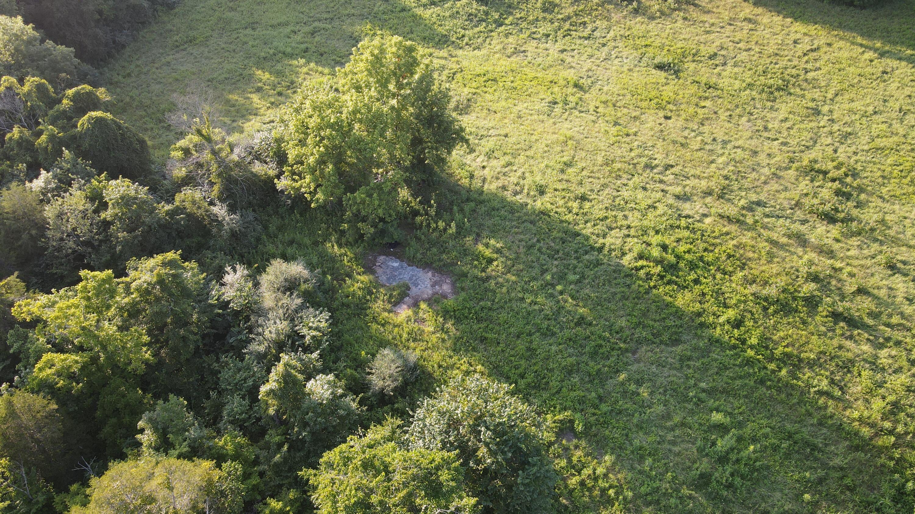 000 Tract 1 Haynes Cemetery Property Photo 30