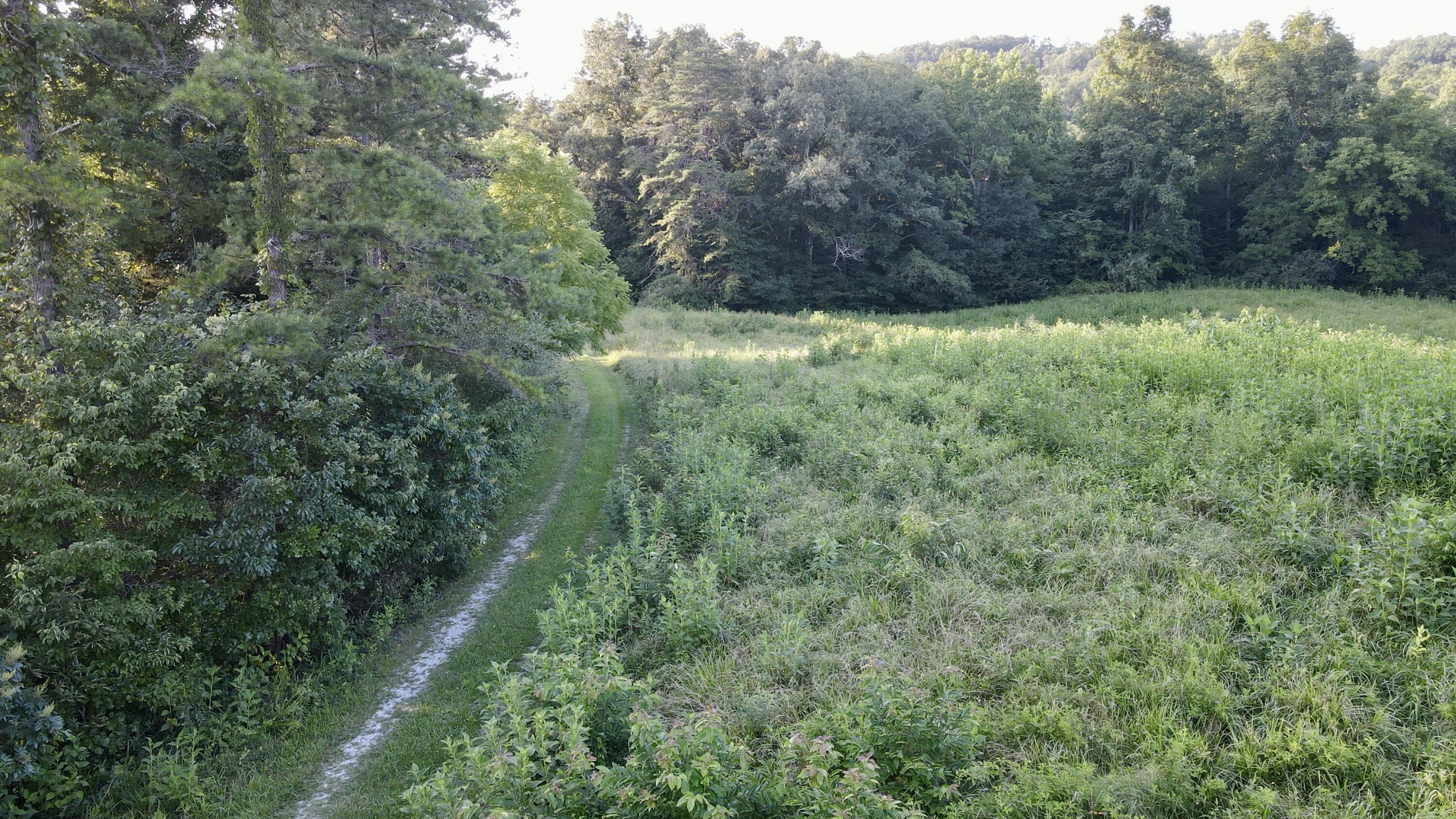 000 Tract 1 Haynes Cemetery Property Photo 45