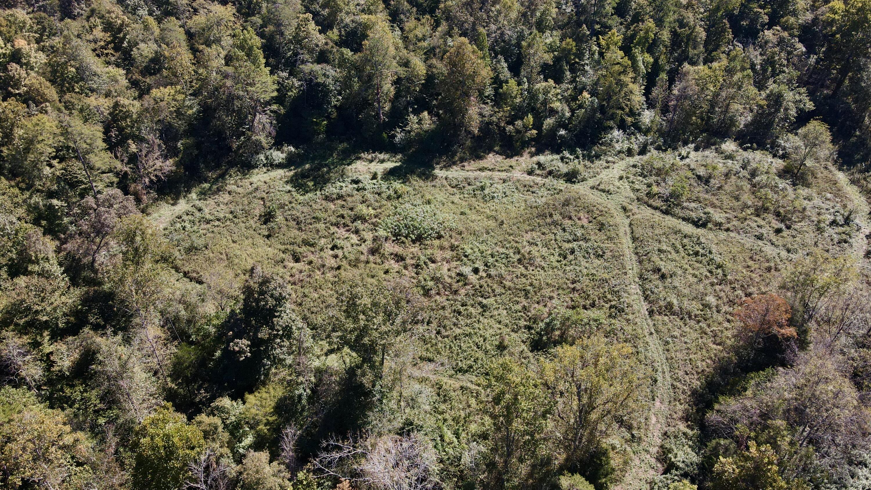 000 Tract 1 Haynes Cemetery Property Photo 48