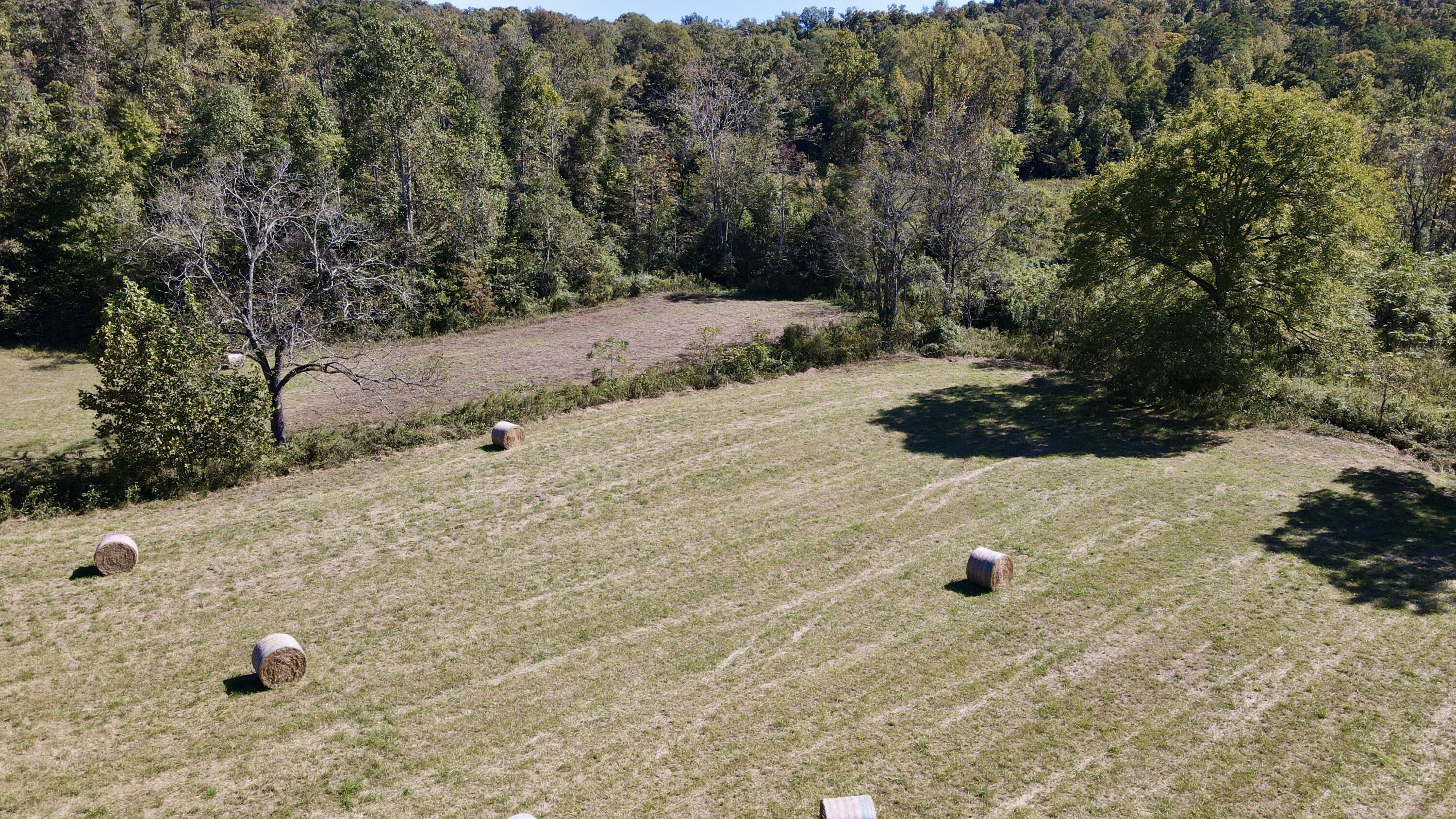 000 Tract 1 Haynes Cemetery Property Photo 57