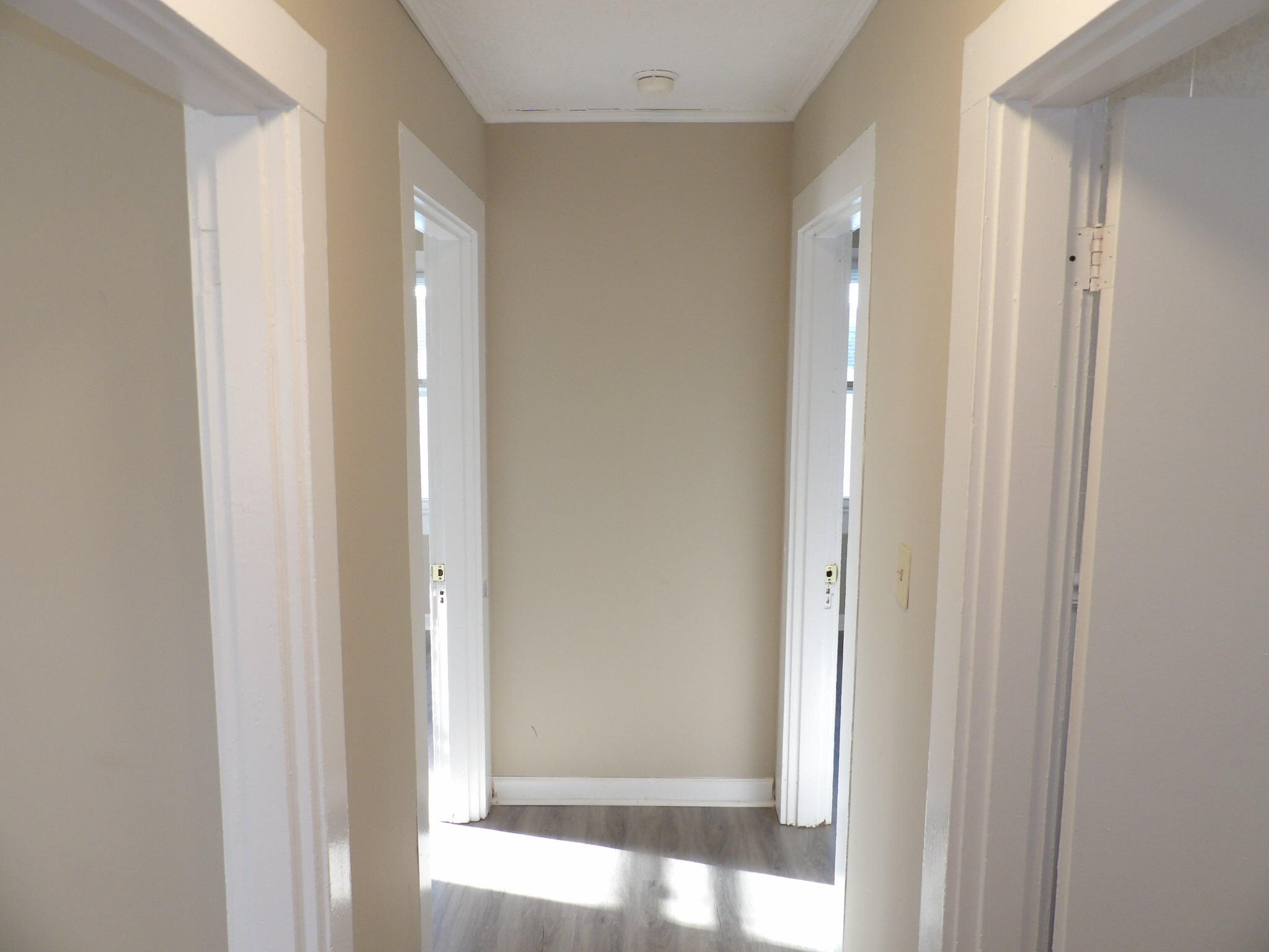 111 Allnutt Drive Property Photo 15