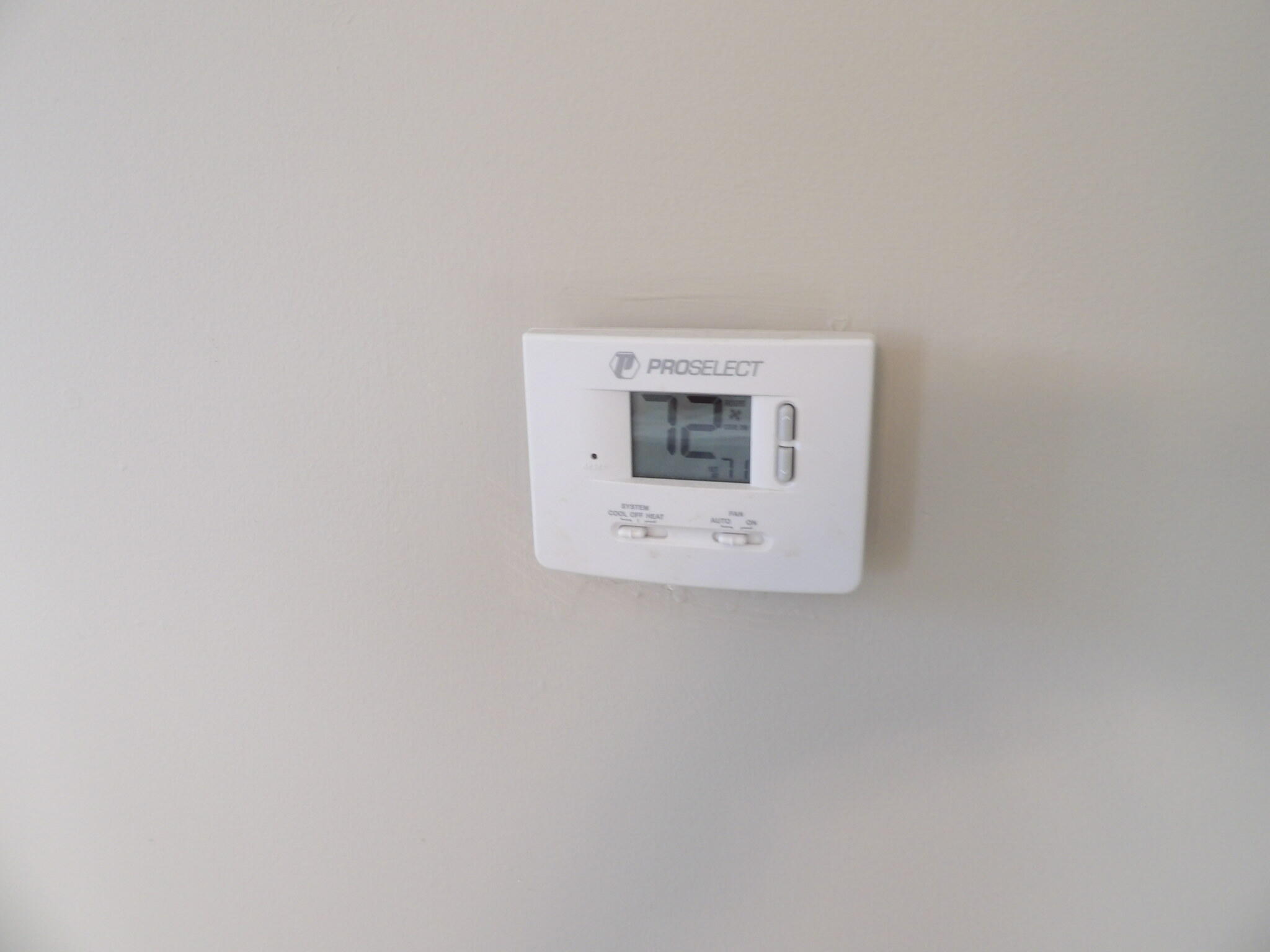 111 Allnutt Drive Property Photo 38