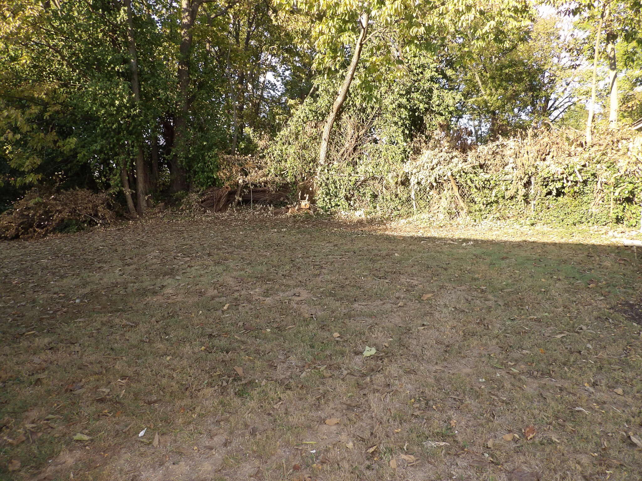 111 Allnutt Drive Property Photo 47