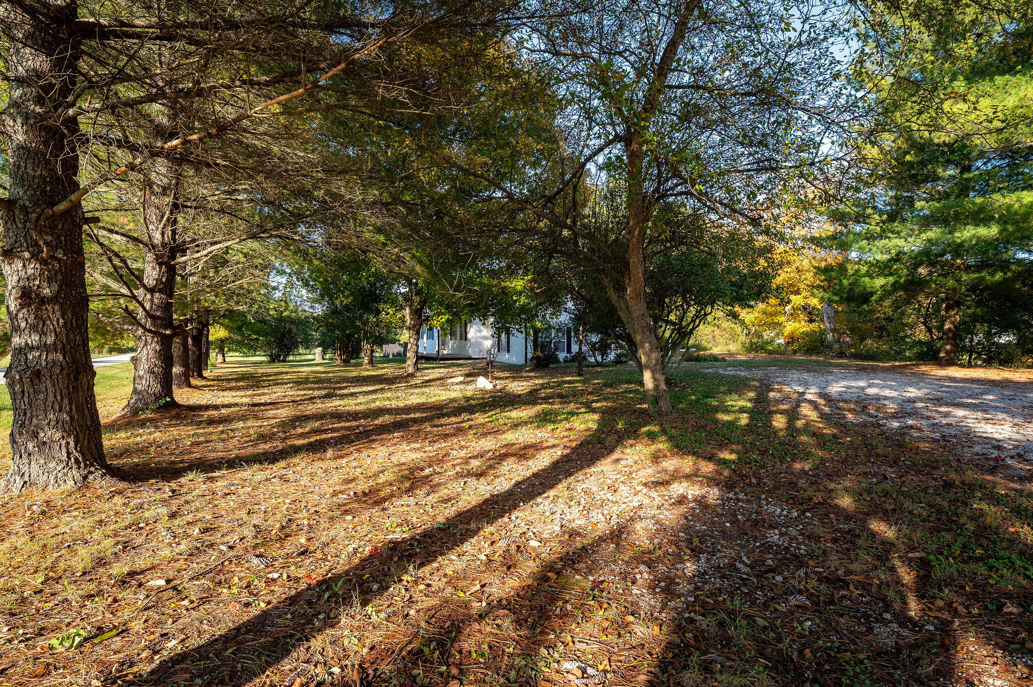 9981 Battlefield Memorial Highway Property Photo 37