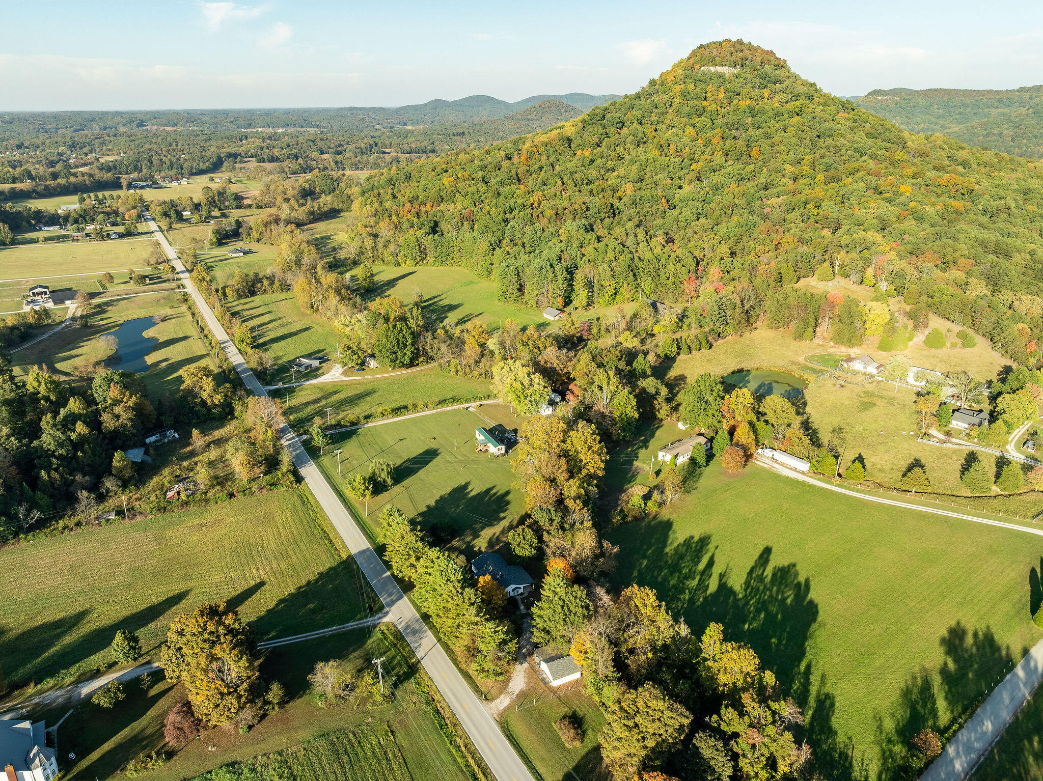9981 Battlefield Memorial Highway Property Photo 39