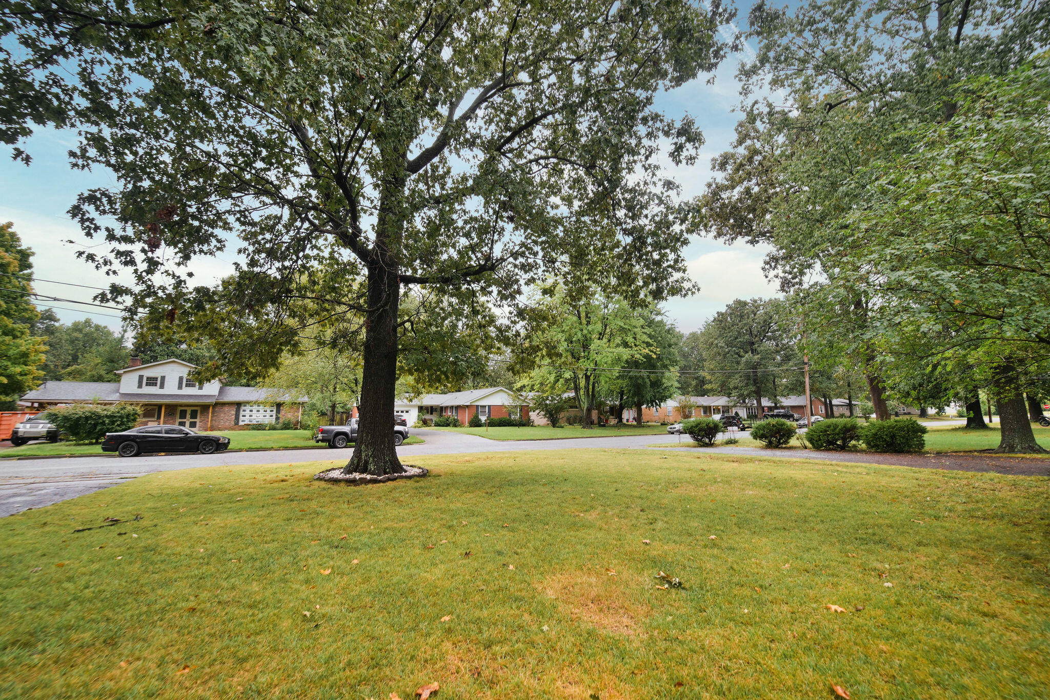 2519 Laclede Avenue Property Photo 49