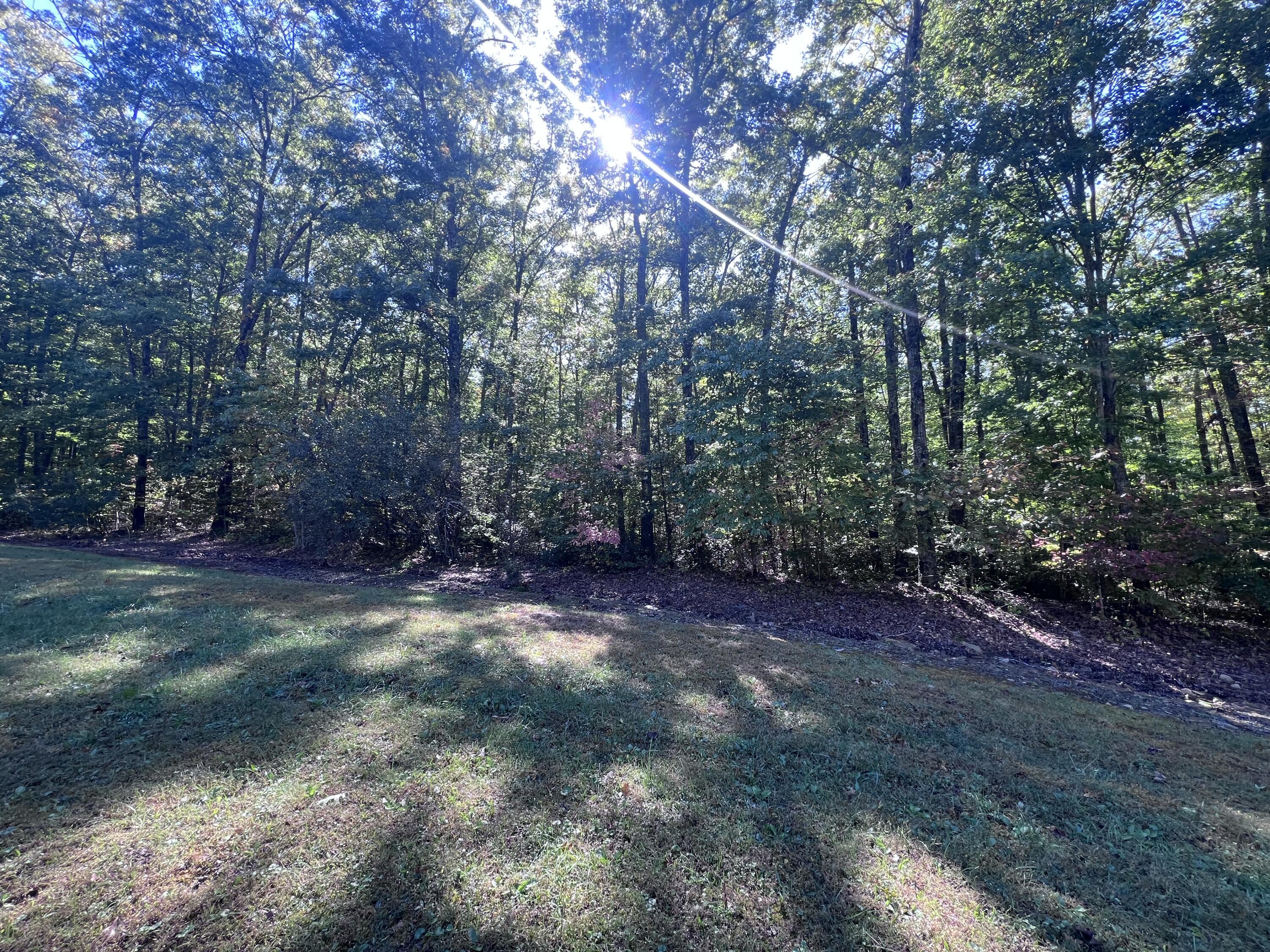 29 Brush Mountain Circle Property Photo 1