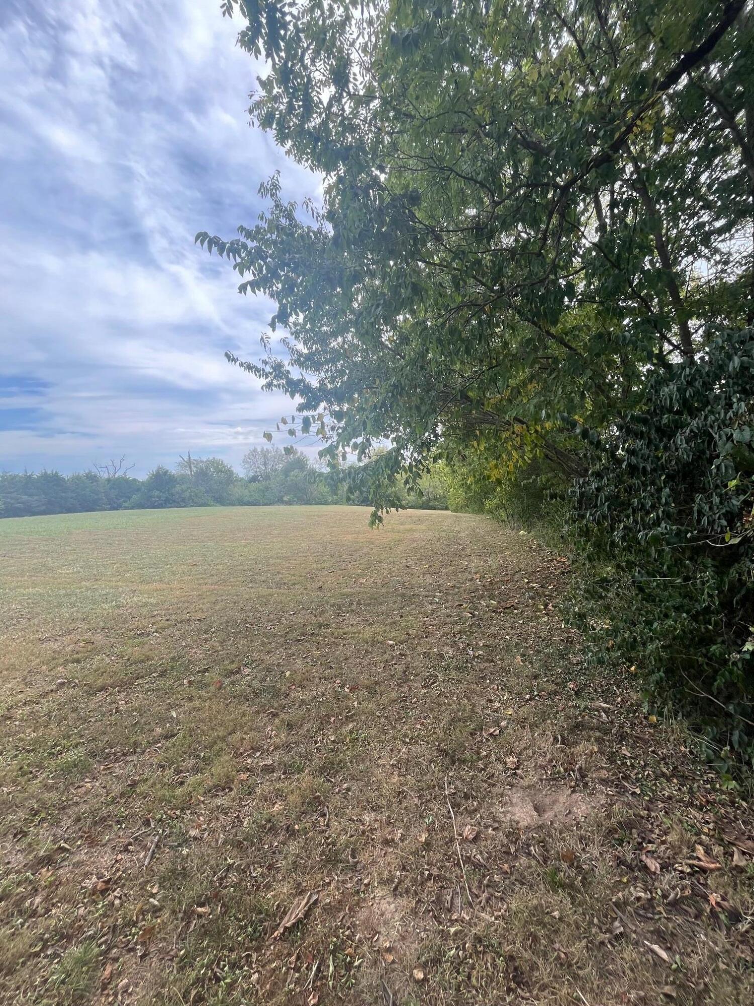 455-01 Rice Bend Road Property Photo 6