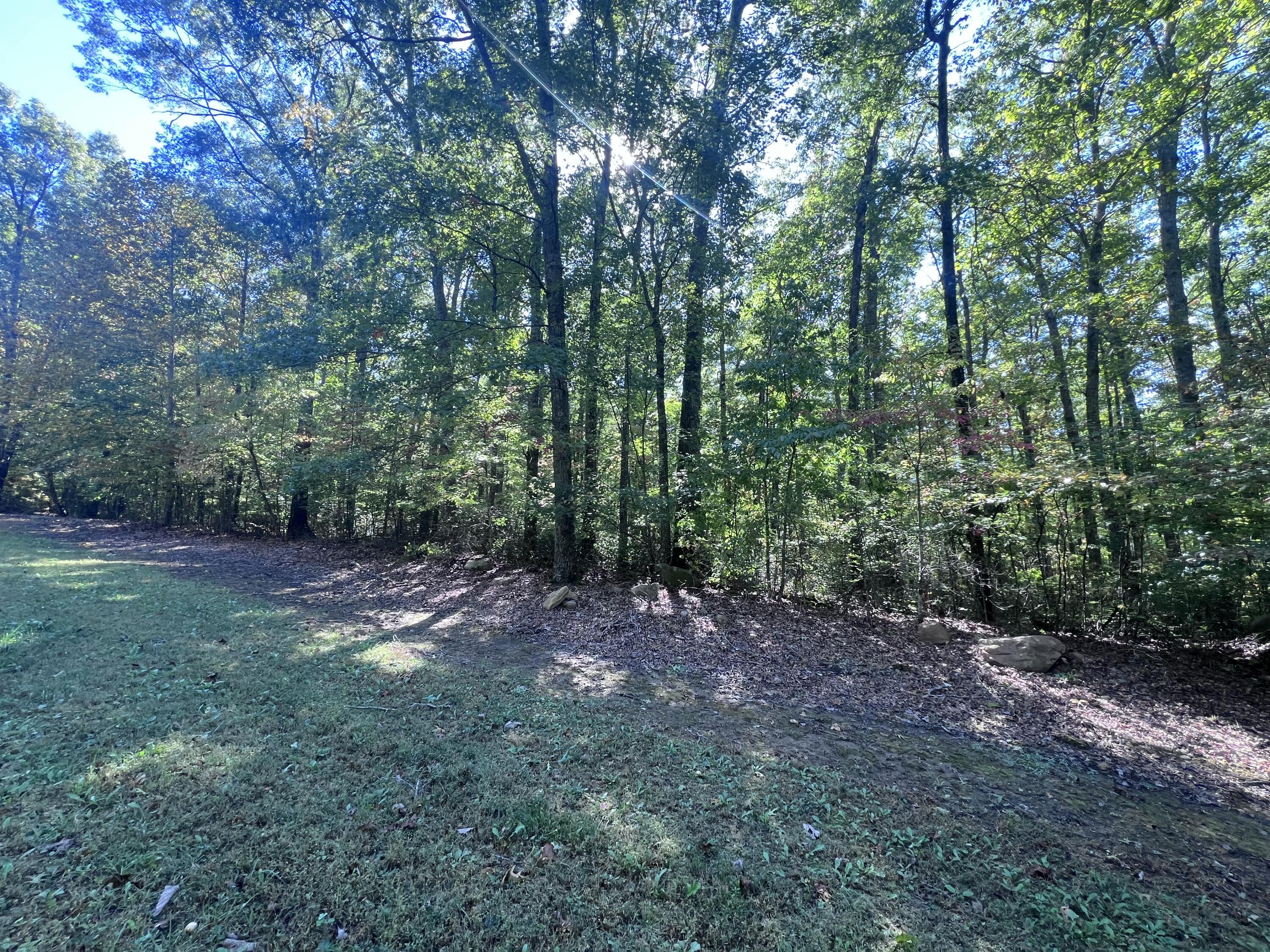 28 Brush Mountain Circle Property Photo 2