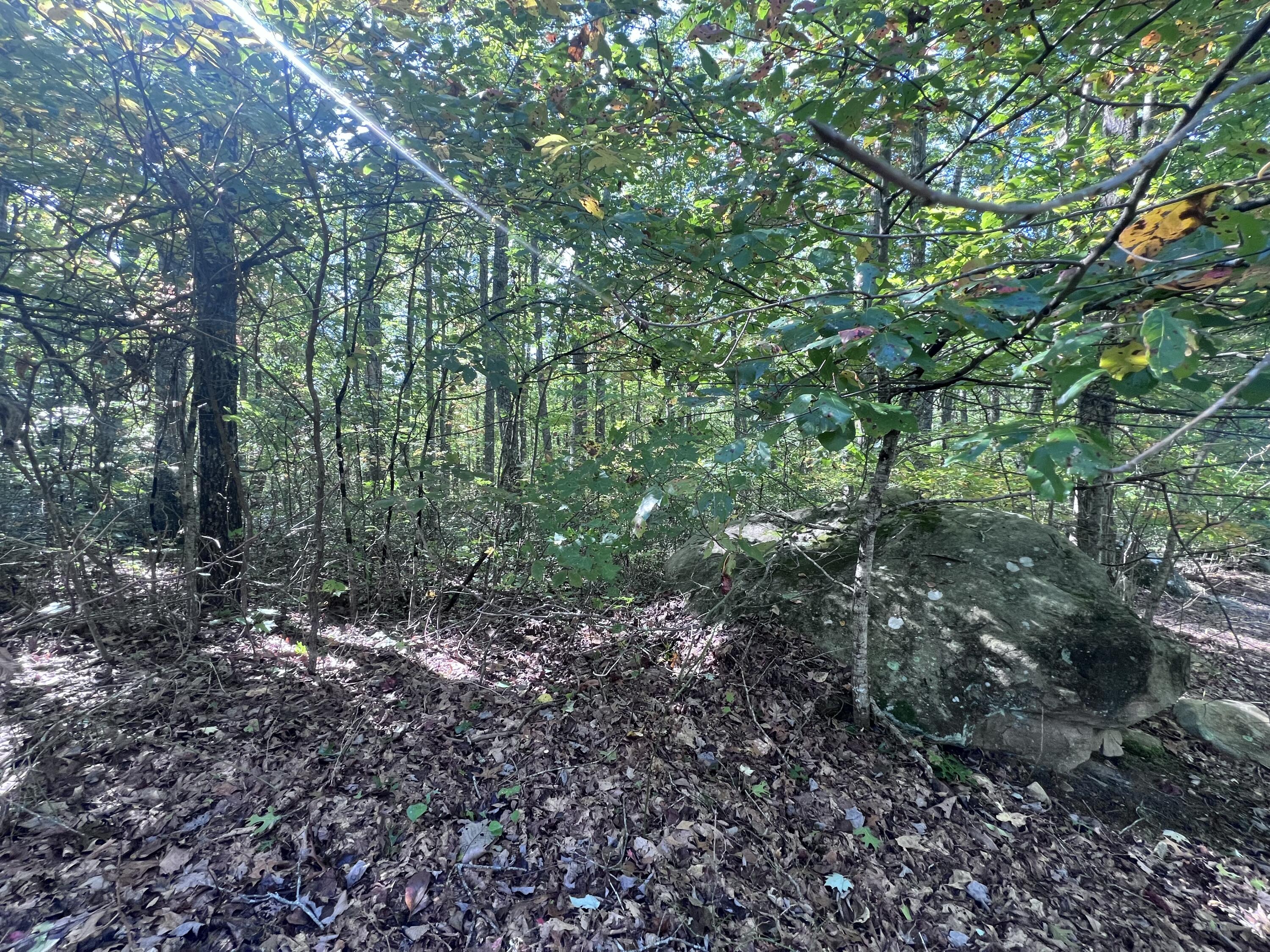28 Brush Mountain Circle Property Photo 4