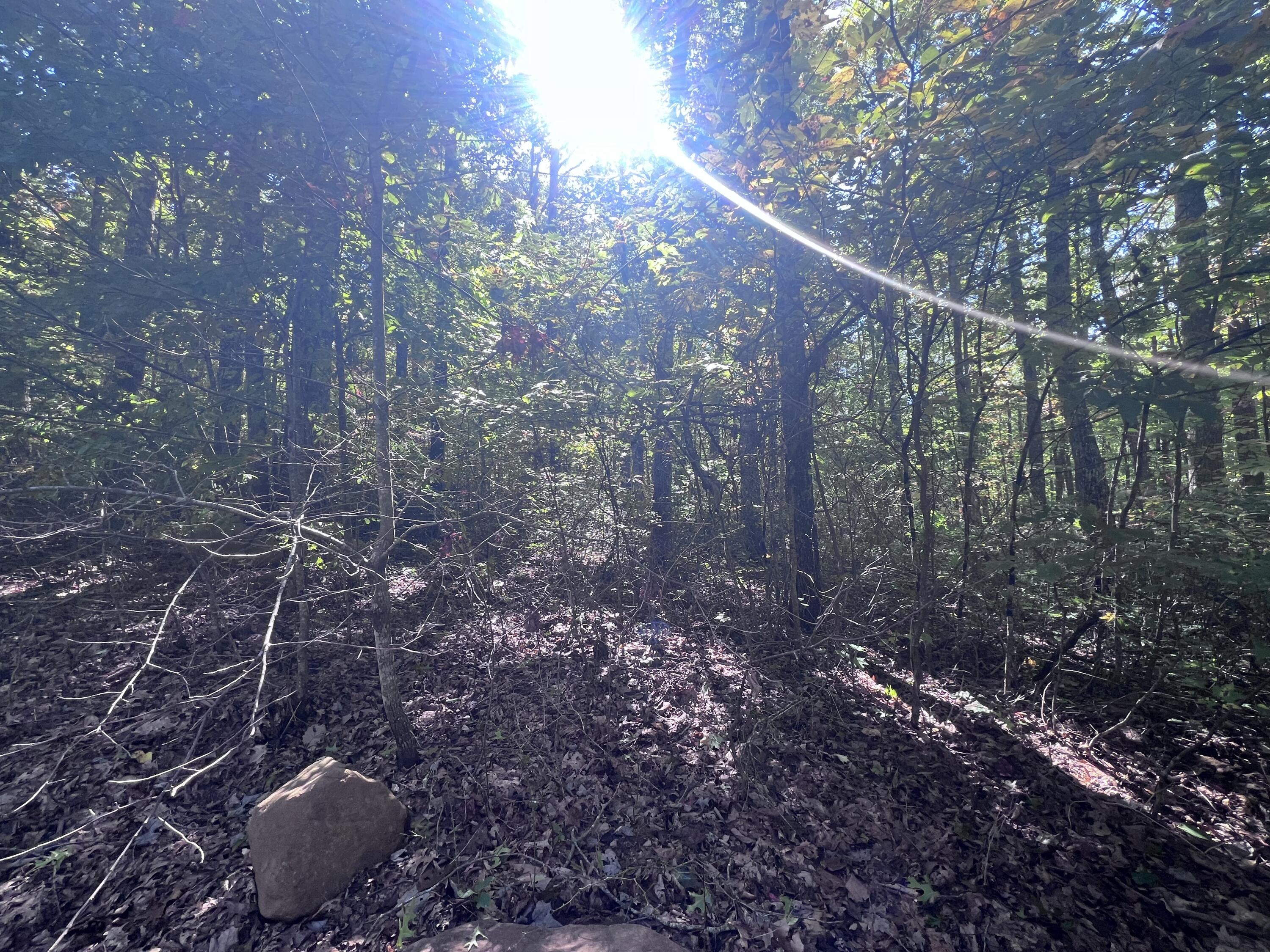 28 Brush Mountain Circle Property Photo 5