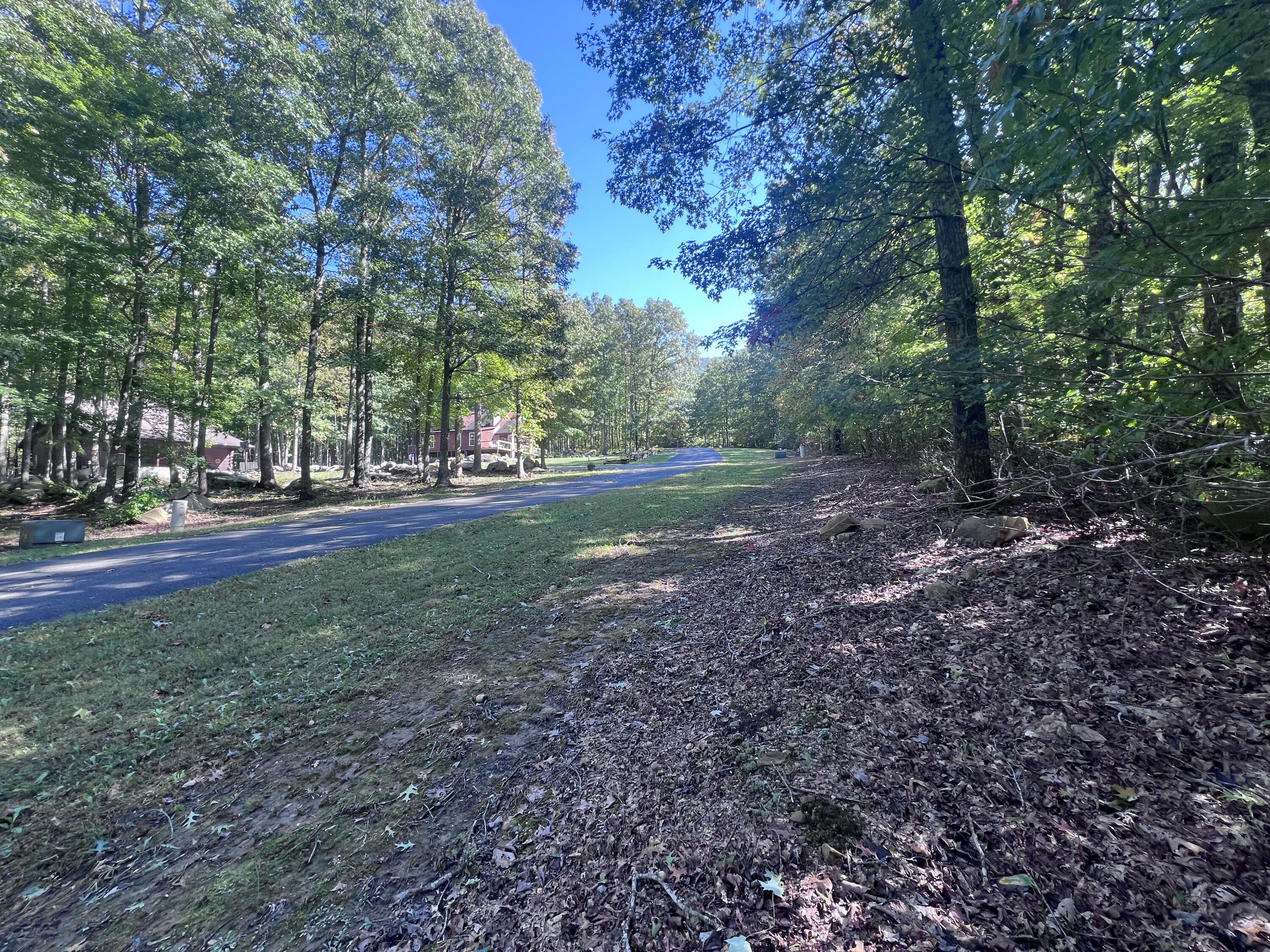 28 Brush Mountain Circle Property Photo 6