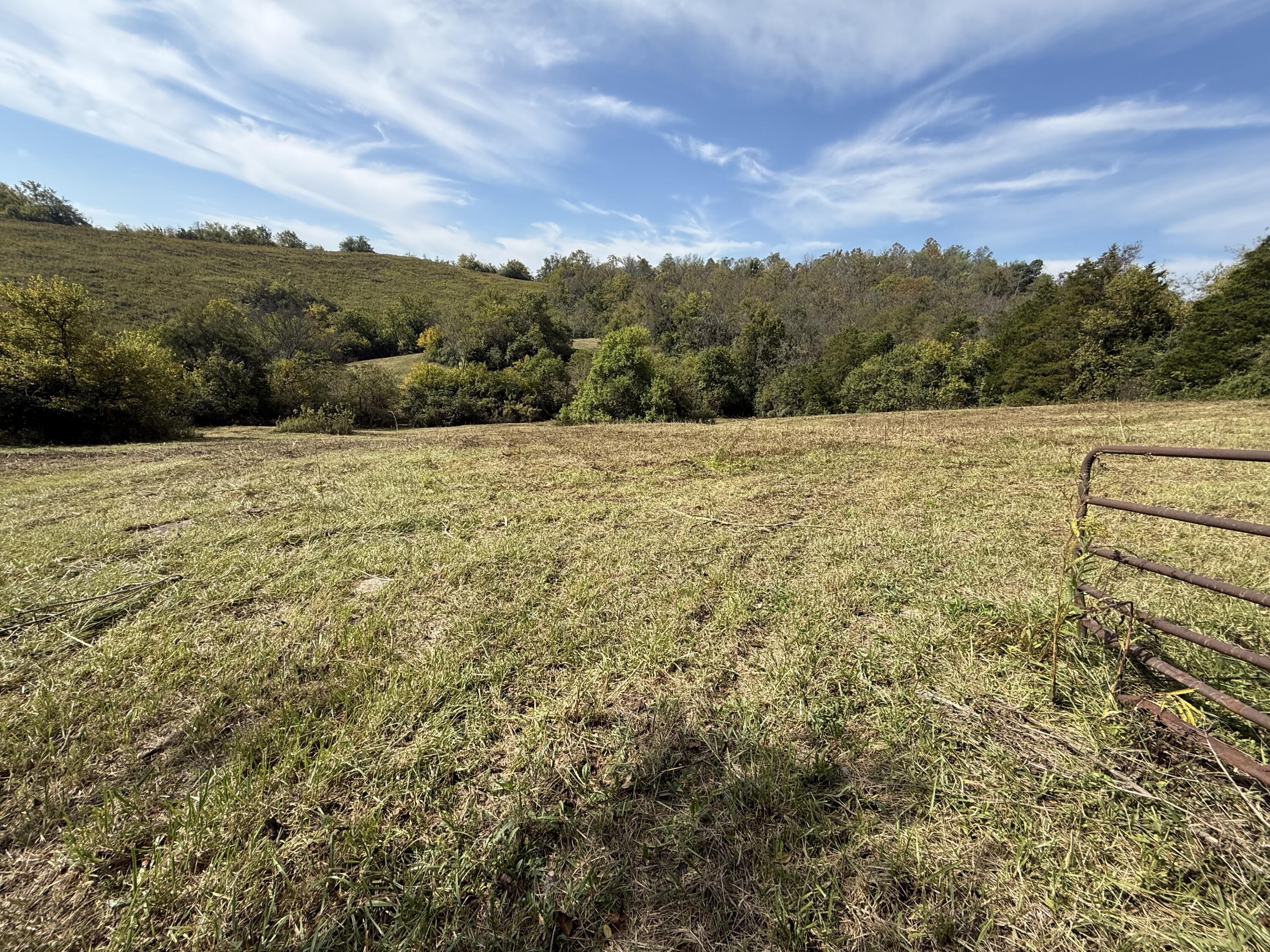 3525 Old Ruckerville Road Property Photo 1