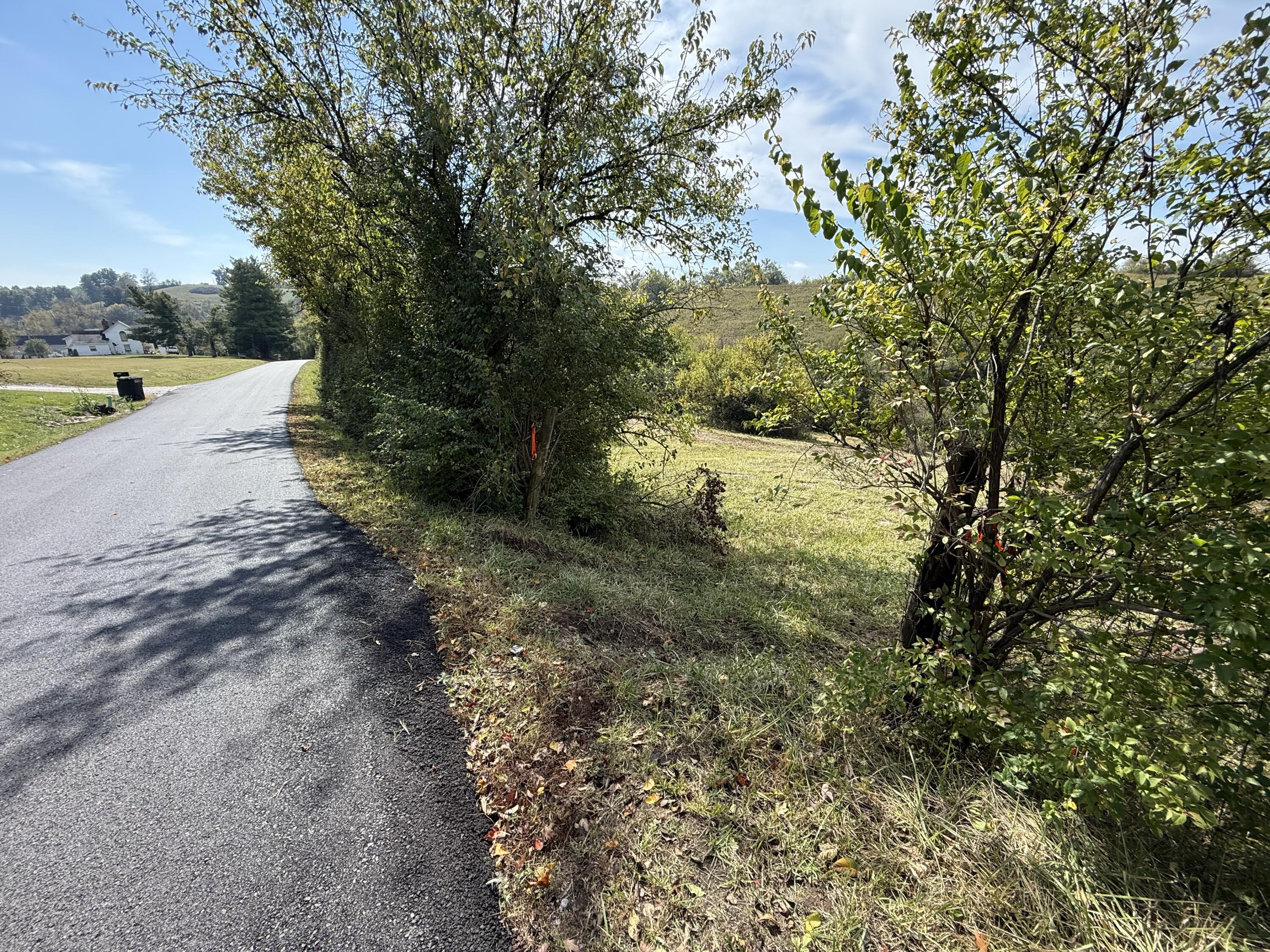 3525 Old Ruckerville Road Property Photo 3