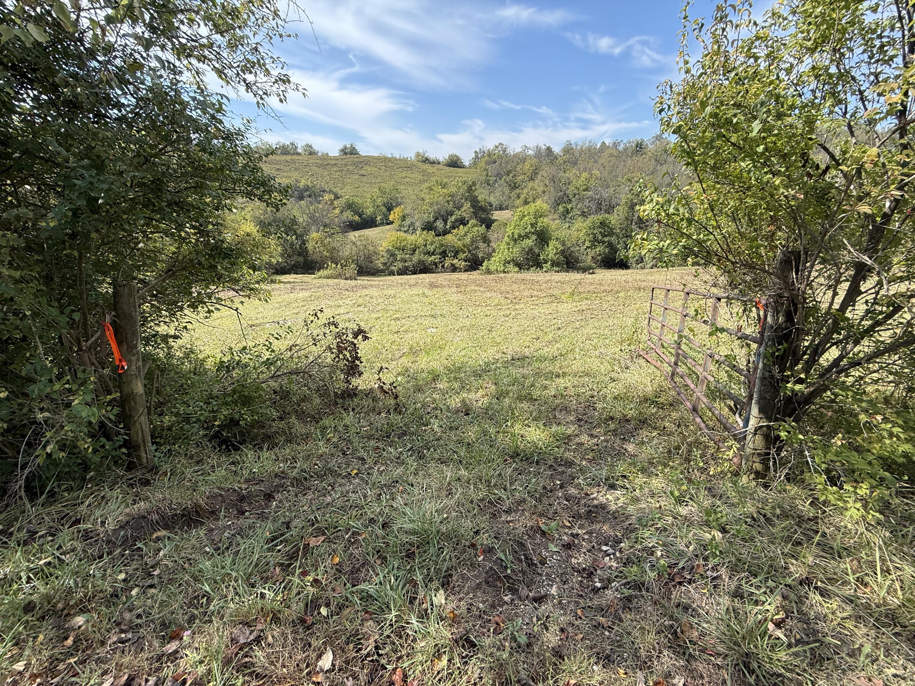 3525 Old Ruckerville Road Property Photo 4