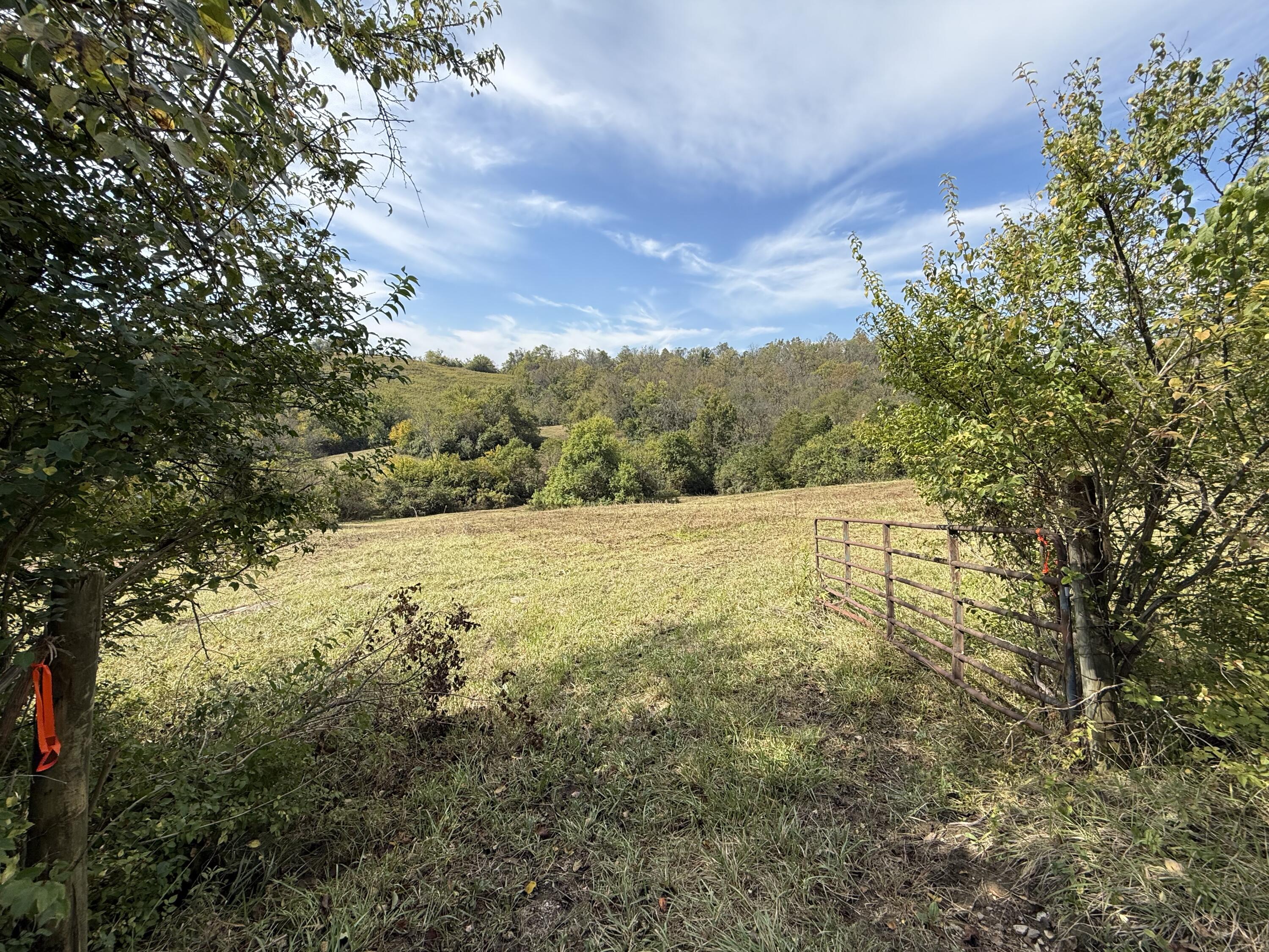 3525 Old Ruckerville Road Property Photo 5