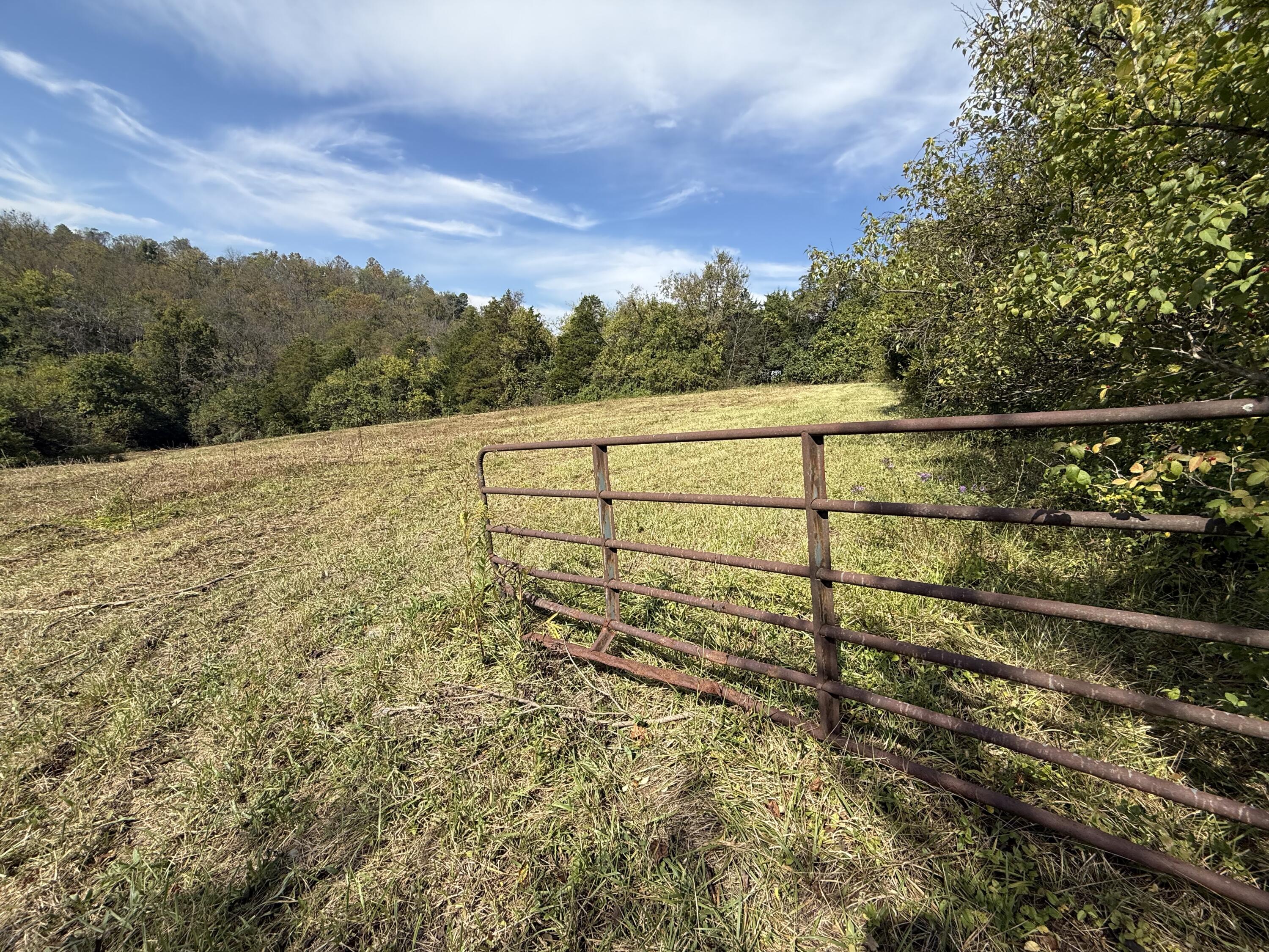 3525 Old Ruckerville Road Property Photo 6