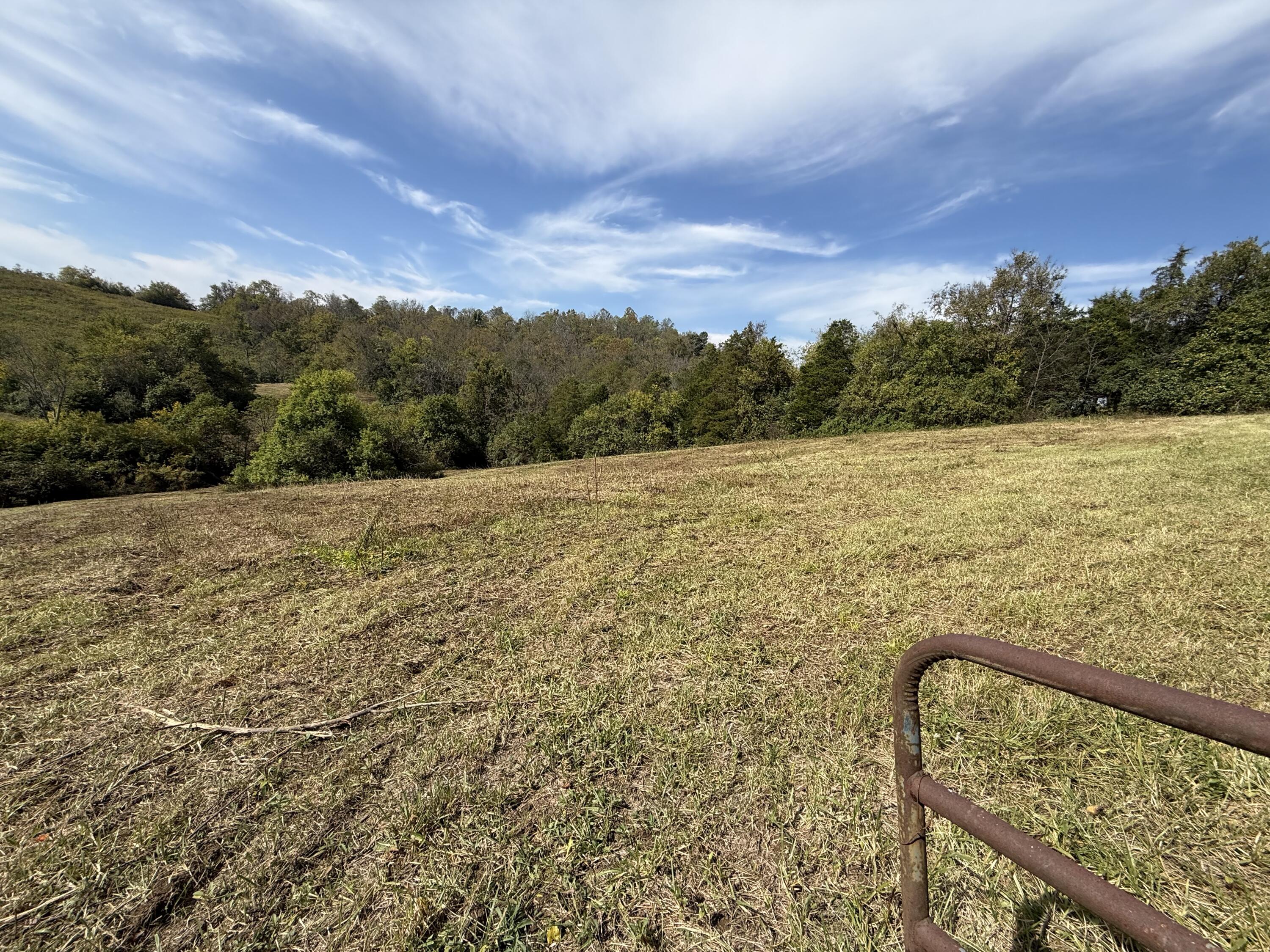 3525 Old Ruckerville Road Property Photo 7
