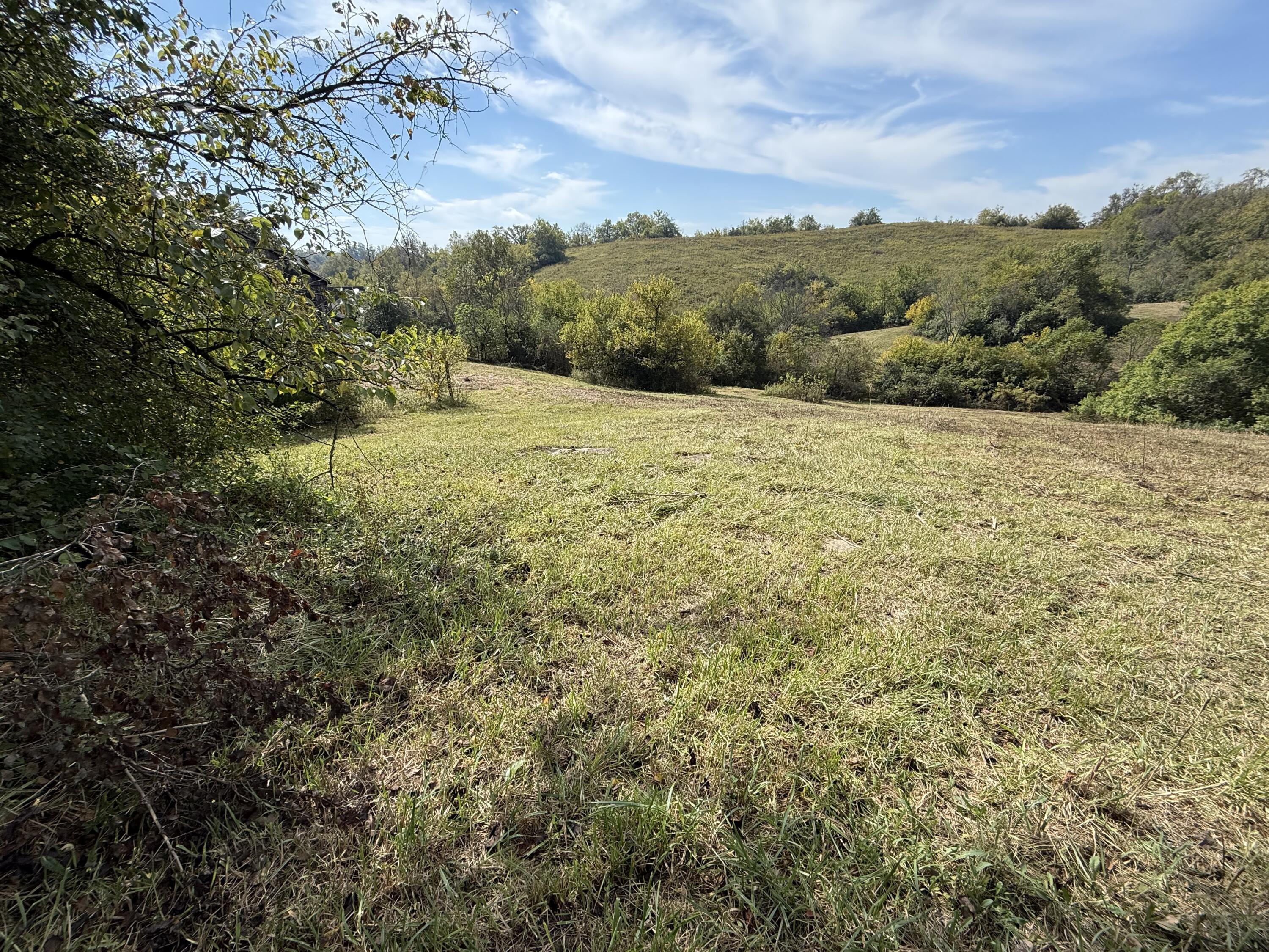 3525 Old Ruckerville Road Property Photo 8