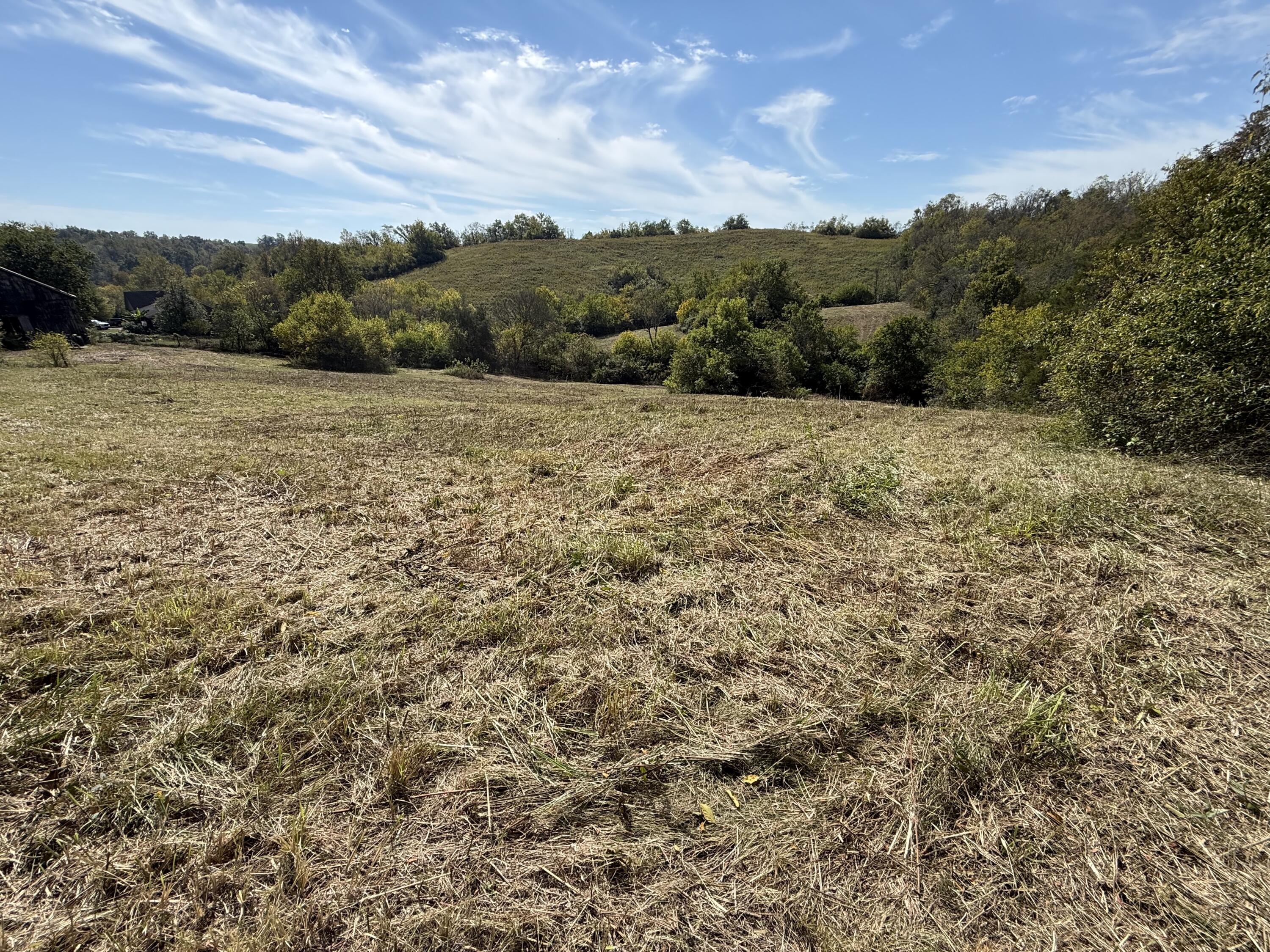 3525 Old Ruckerville Road Property Photo 9