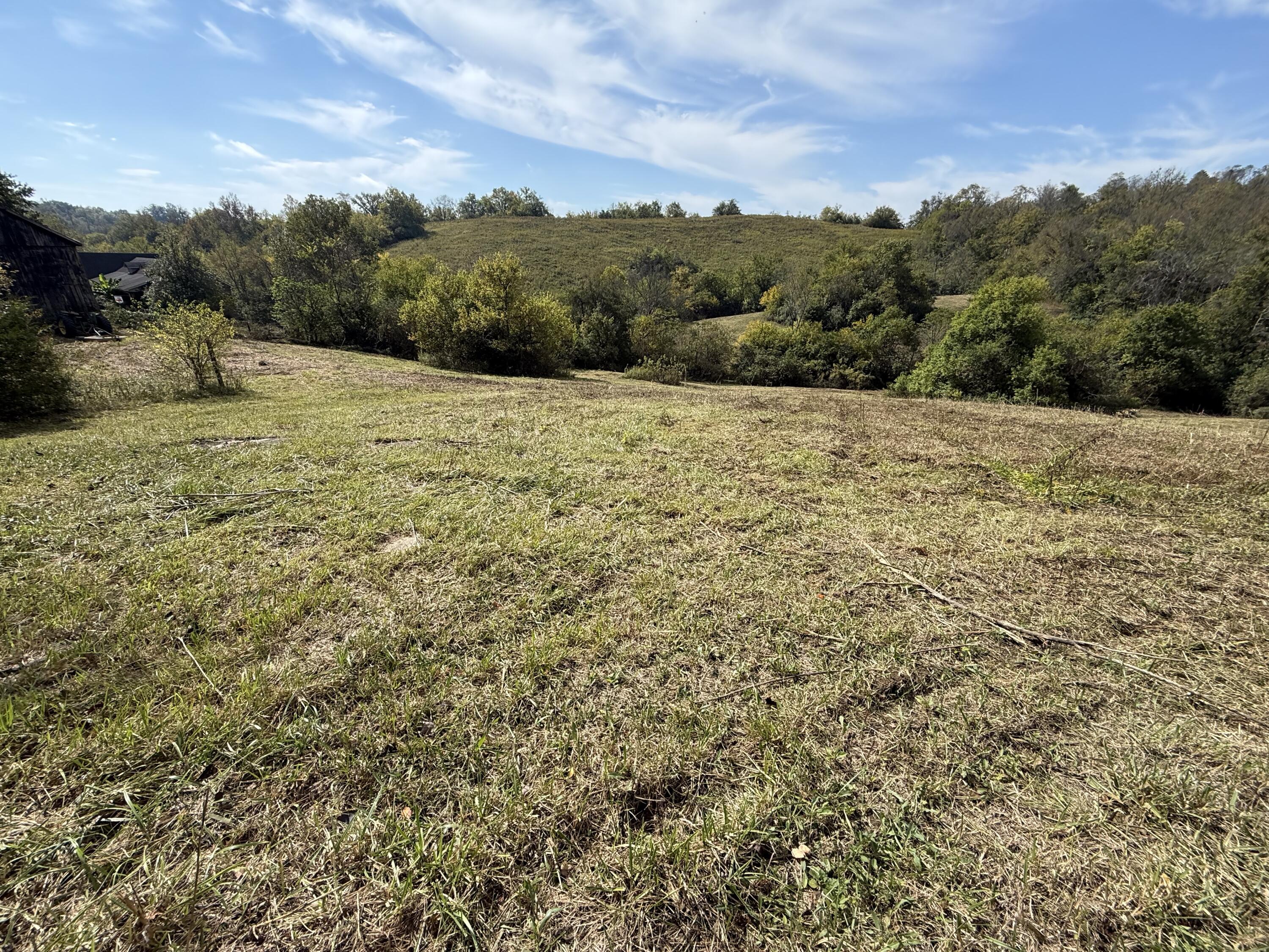 3525 Old Ruckerville Road Property Photo 10