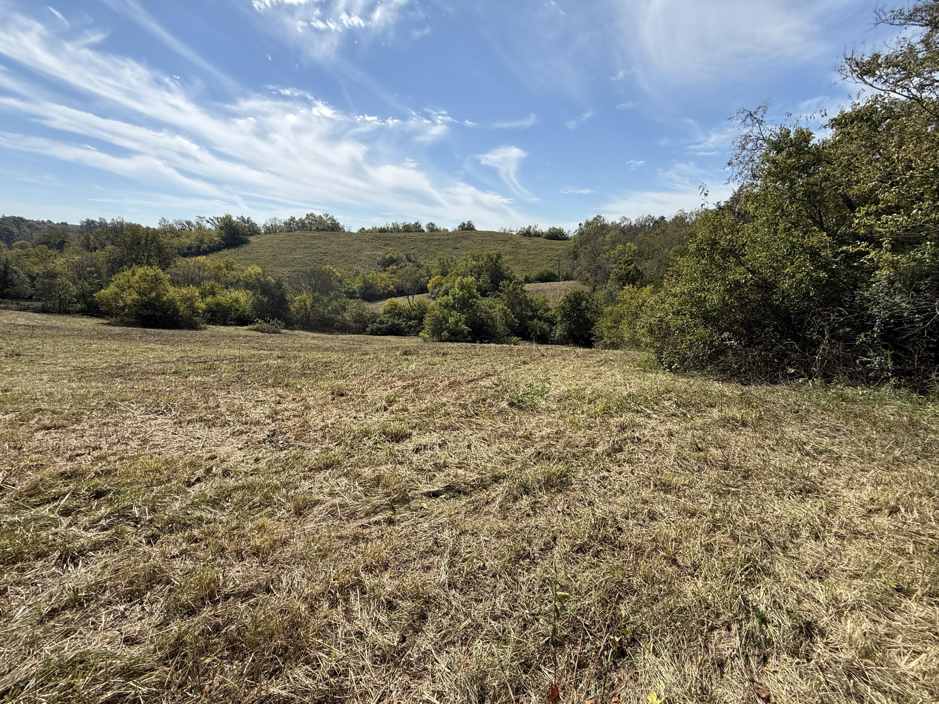 3525 Old Ruckerville Road Property Photo 11