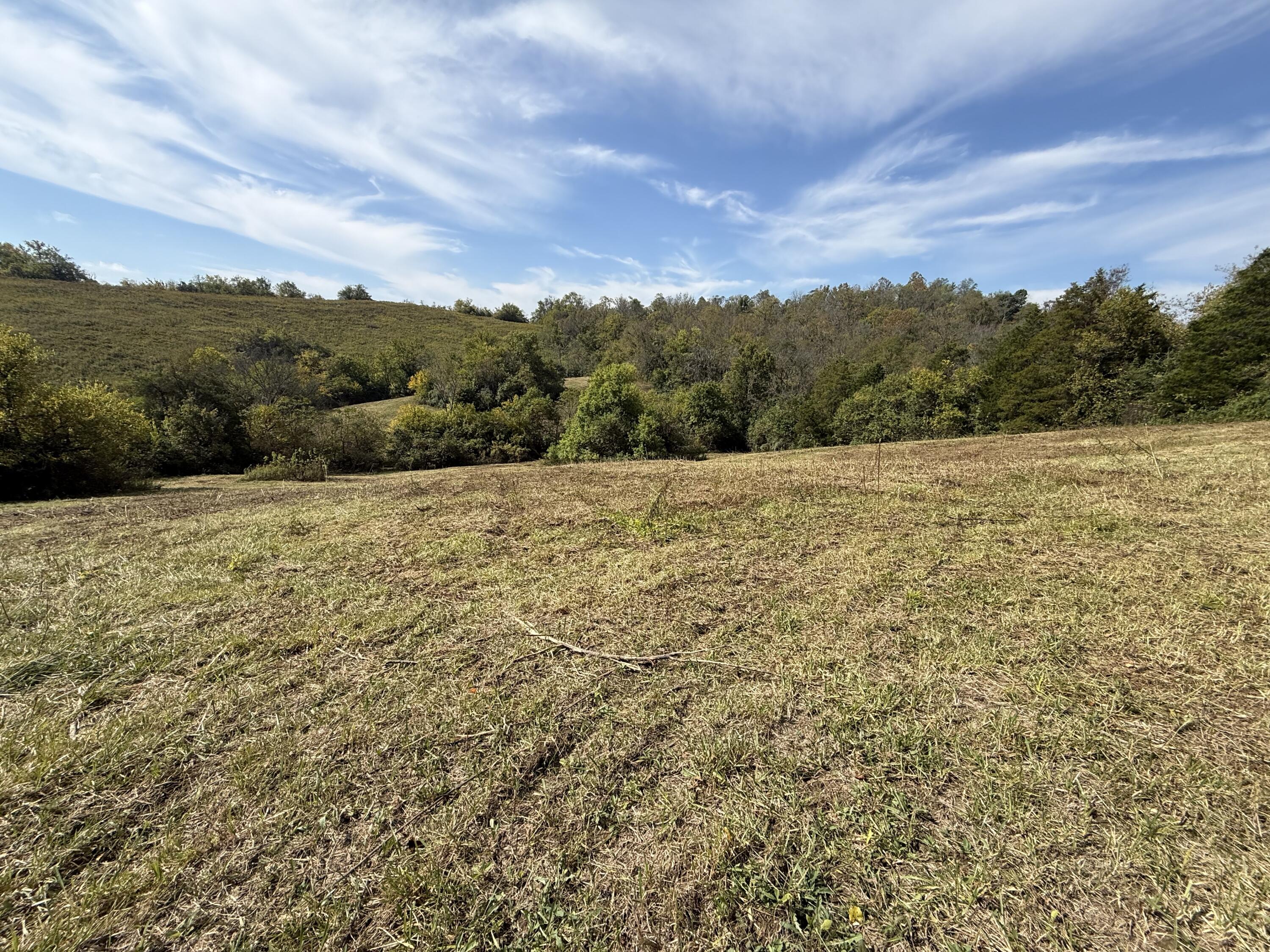 3525 Old Ruckerville Road Property Photo 12