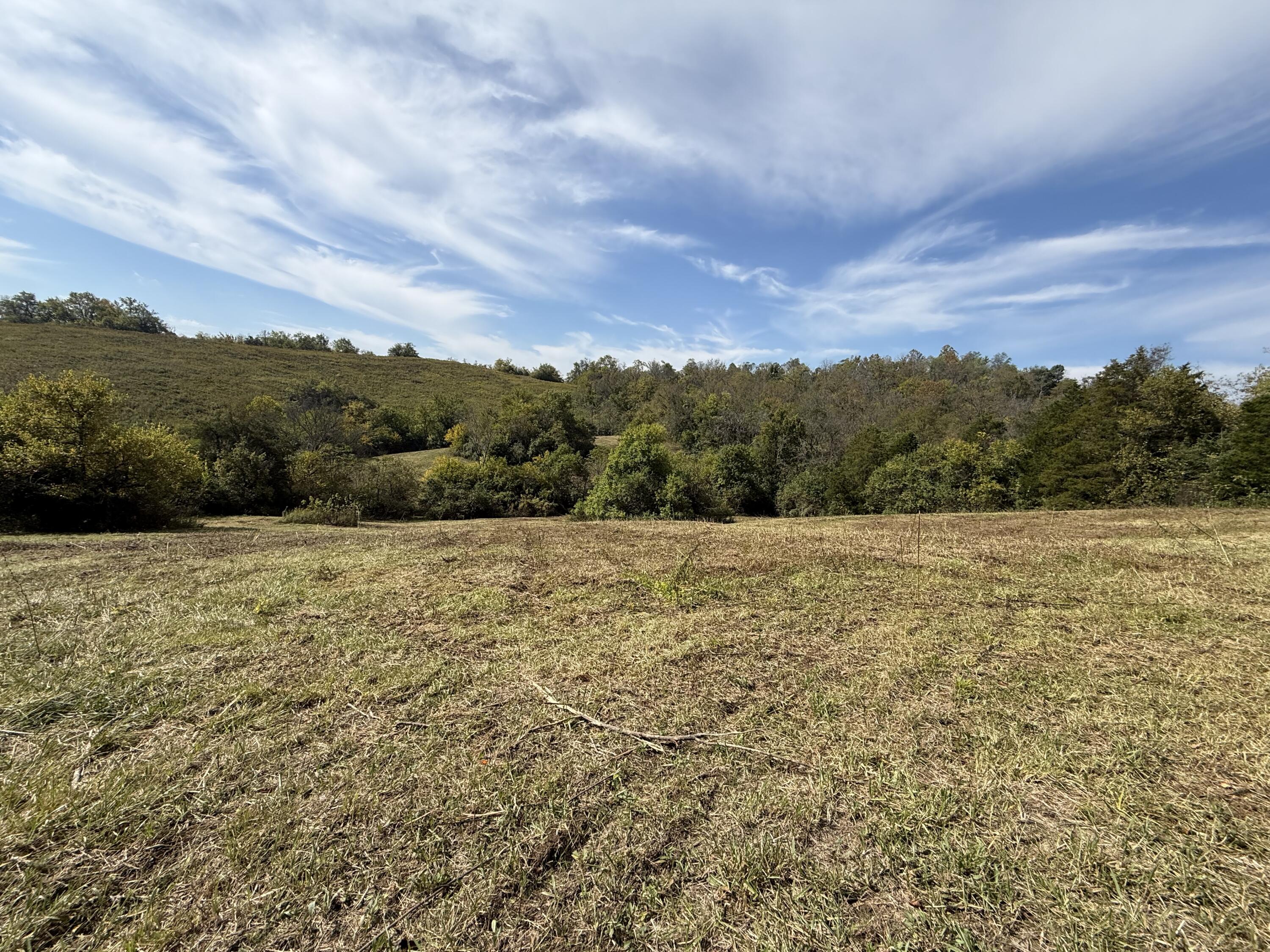 3525 Old Ruckerville Road Property Photo 13