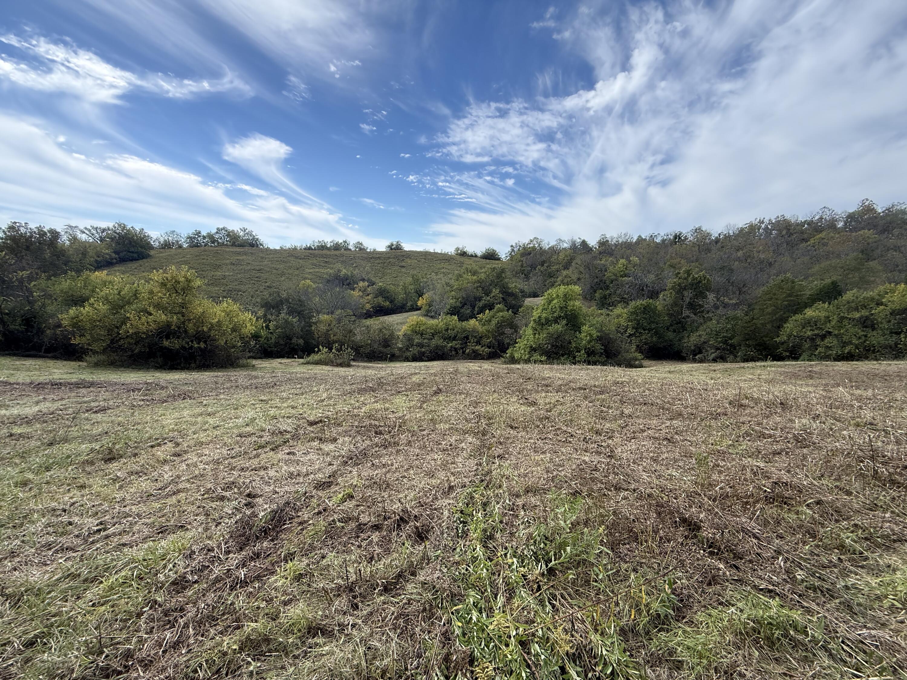 3525 Old Ruckerville Road Property Photo 14
