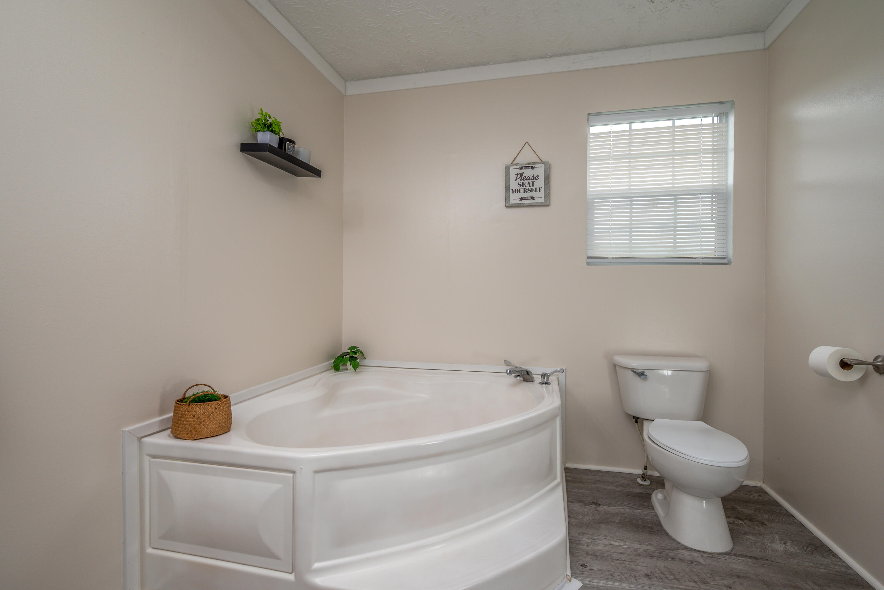 591 Greasy Creek Road Property Photo 20