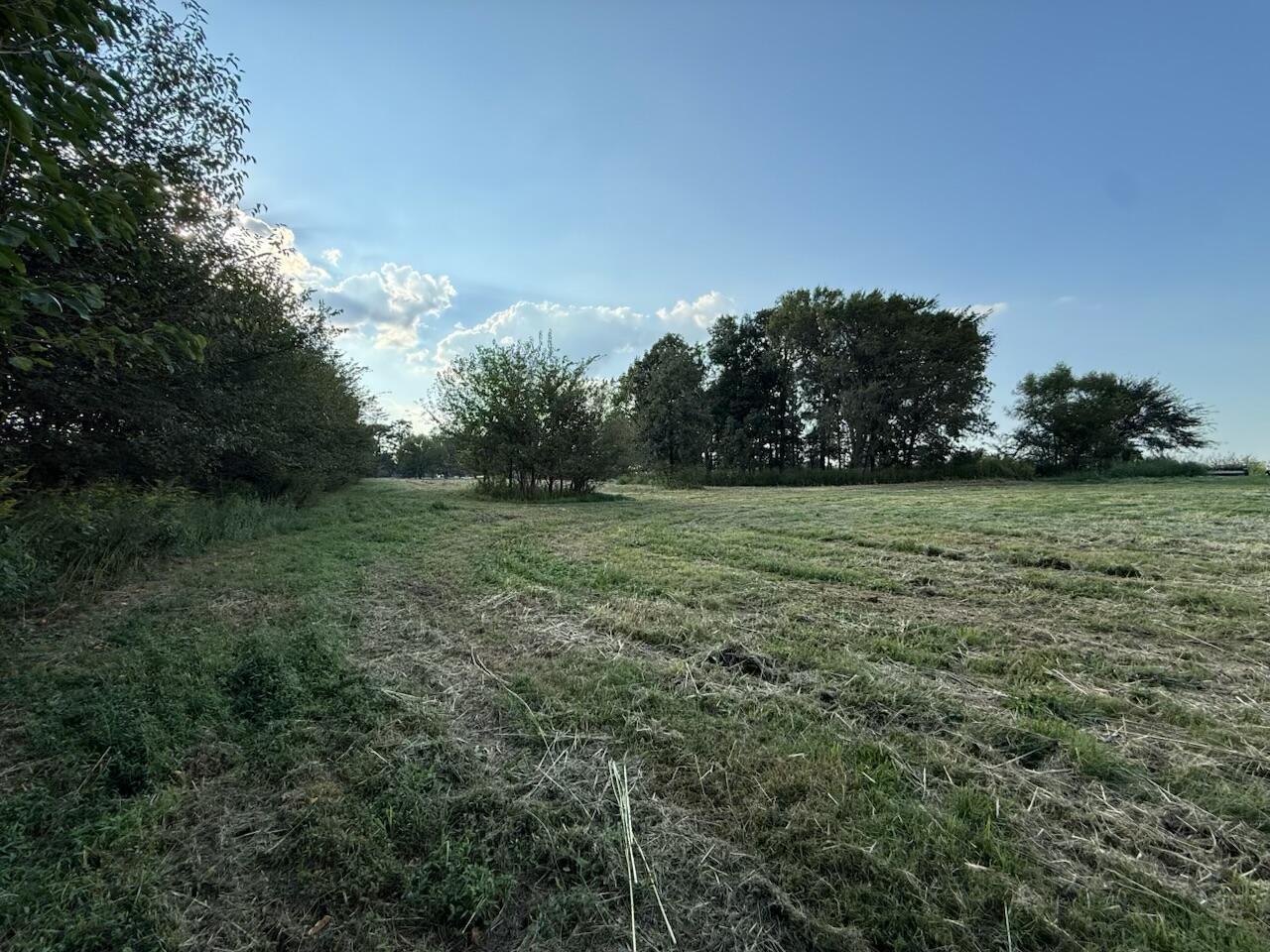 0 High Road Property Photo 4