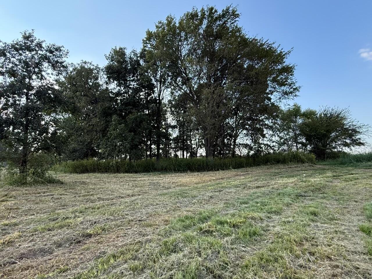 0 High Road Property Photo 7
