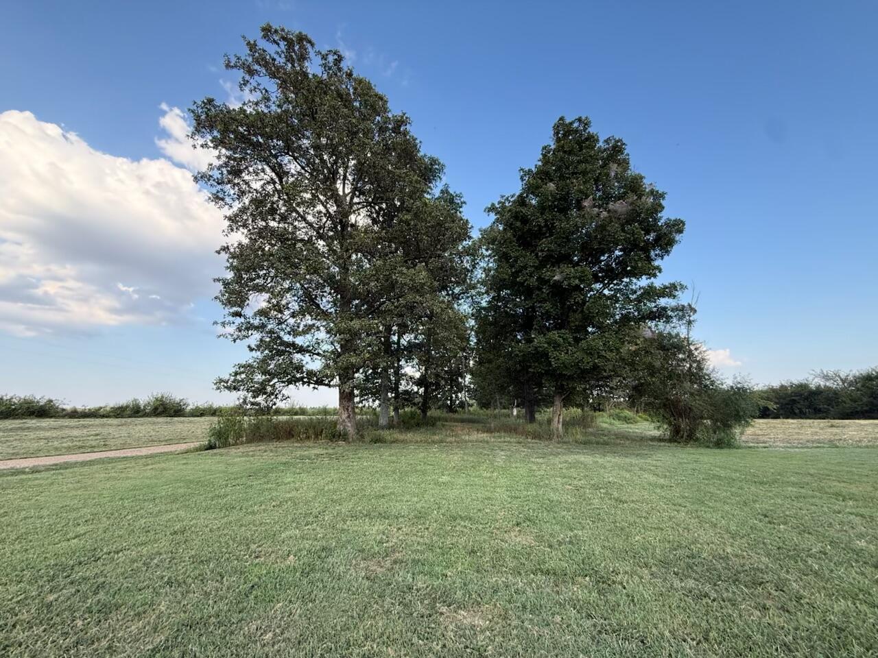 0 High Road Property Photo 11
