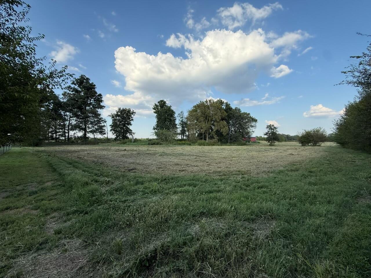 0 High Road Property Photo 14