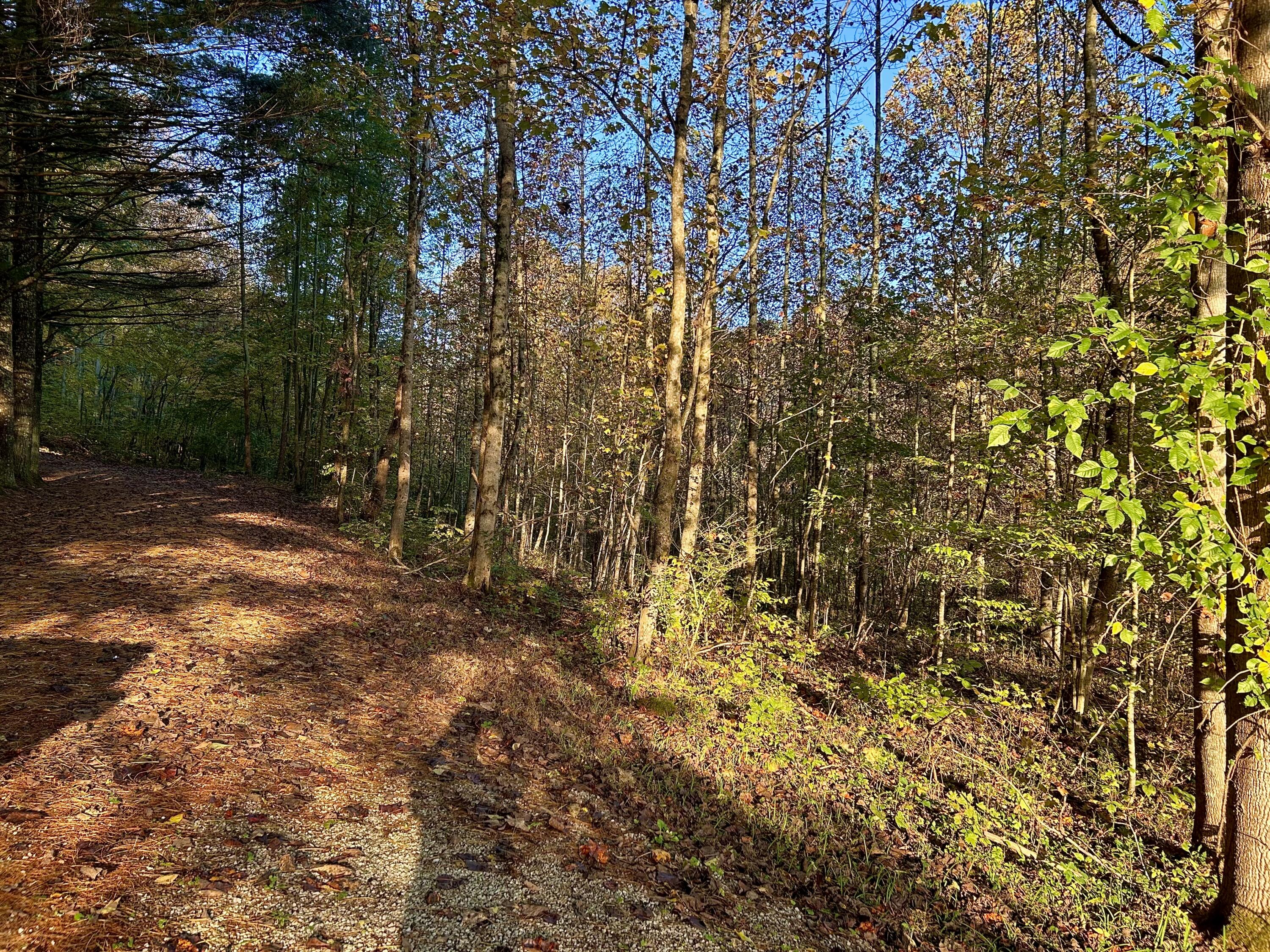 3435 Dry Creek Road Property Photo 4