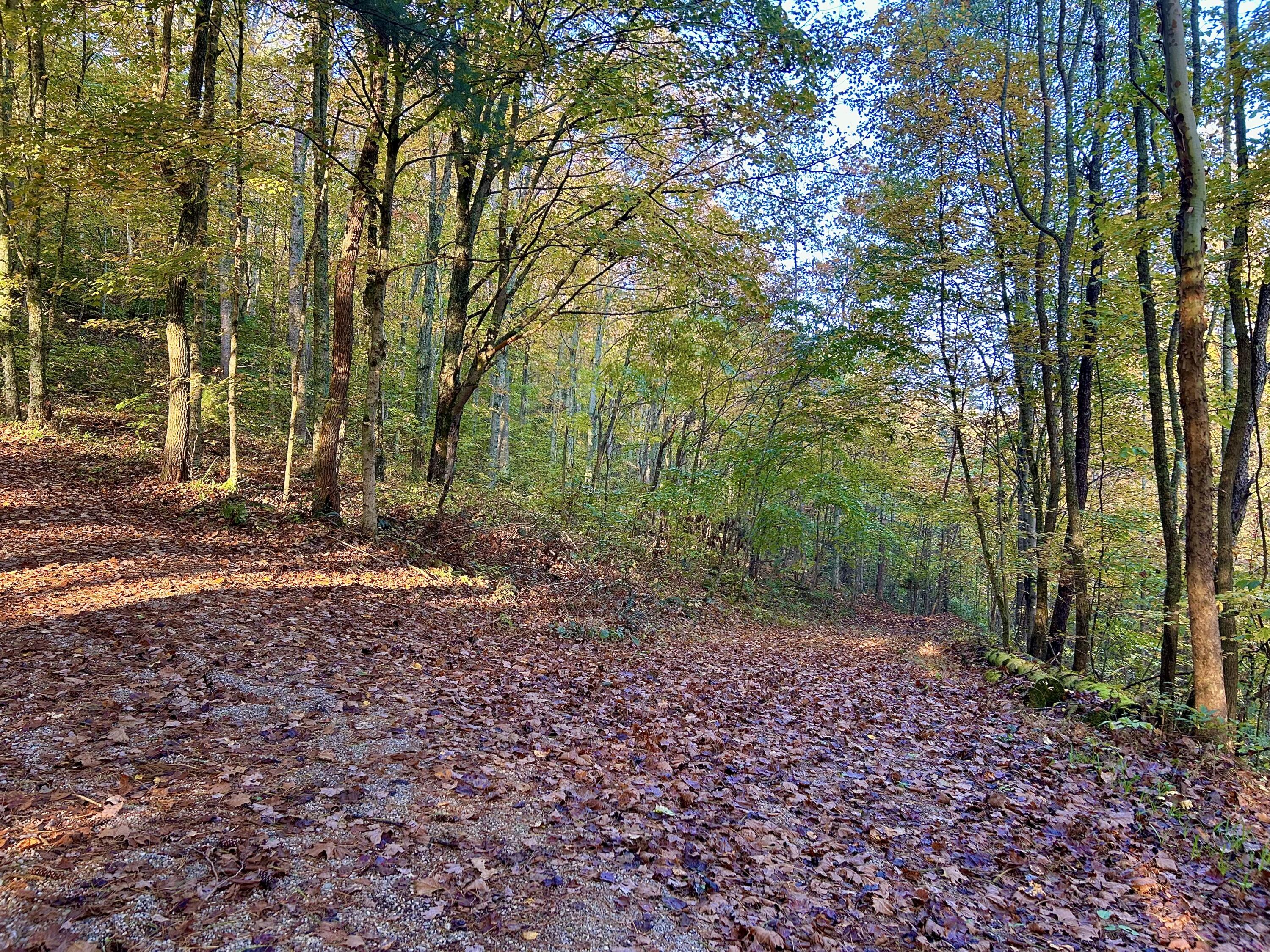 3435 Dry Creek Road Property Photo 5