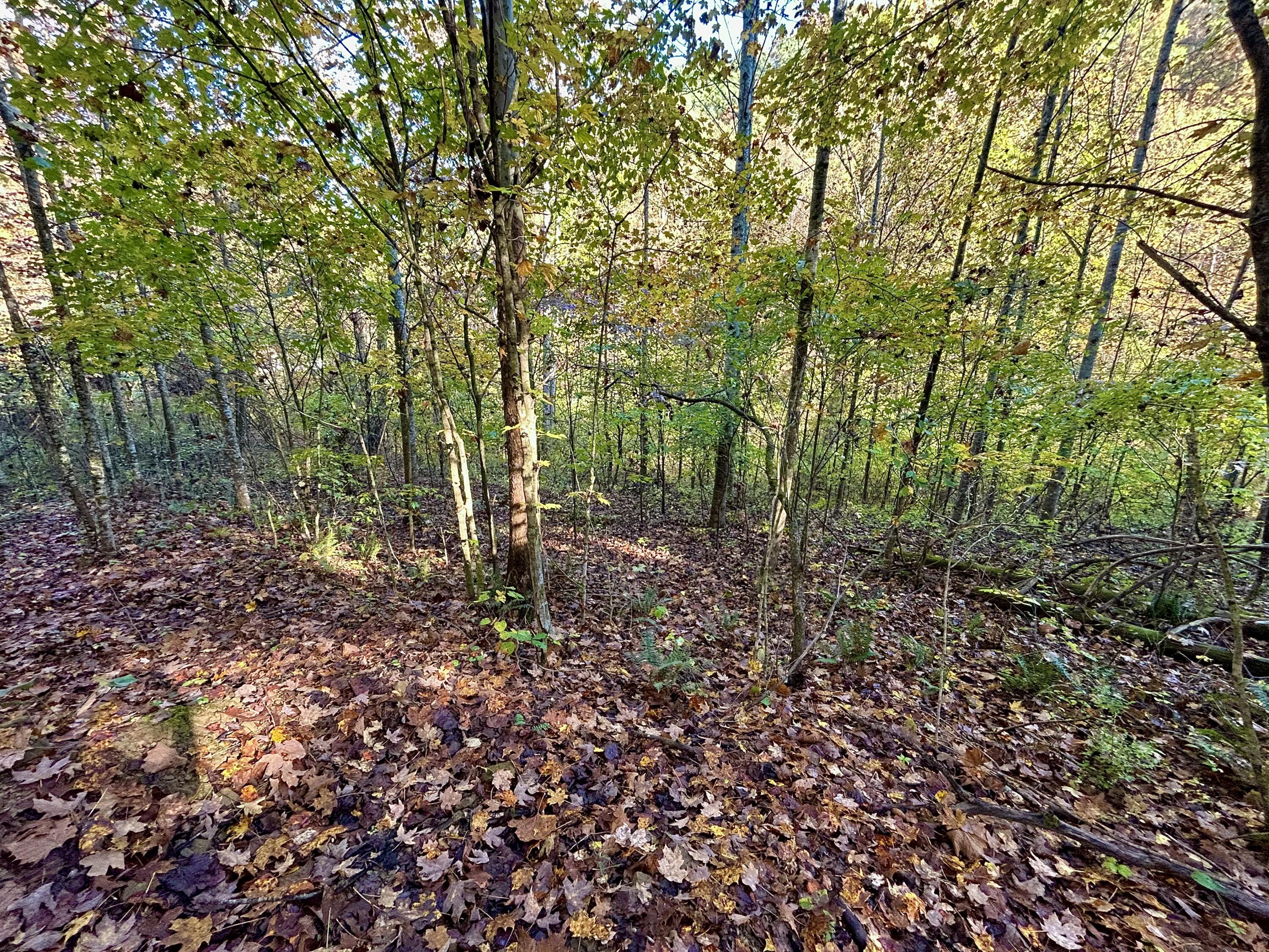 3435 Dry Creek Road Property Photo 6