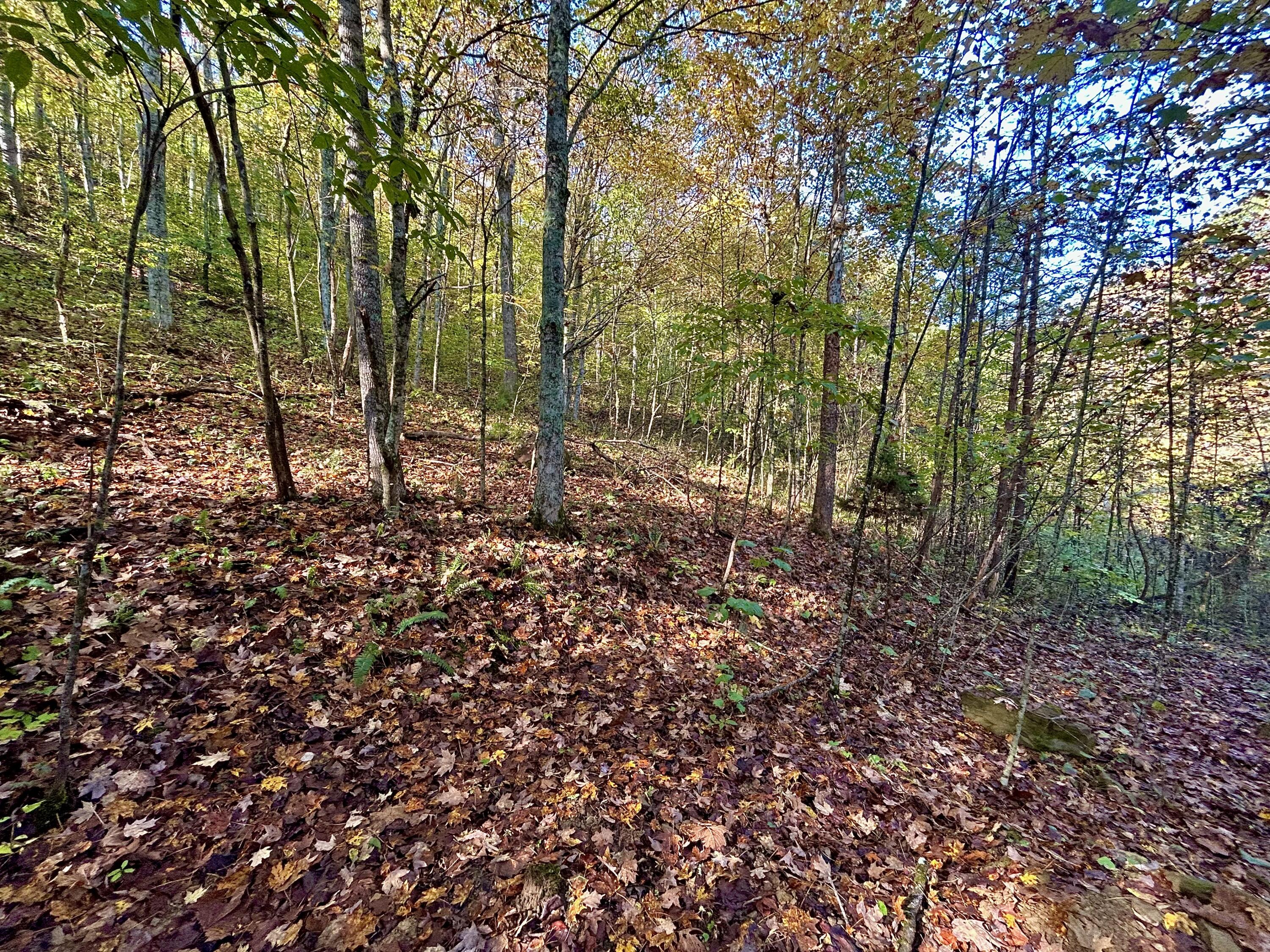 3435 Dry Creek Road Property Photo 7