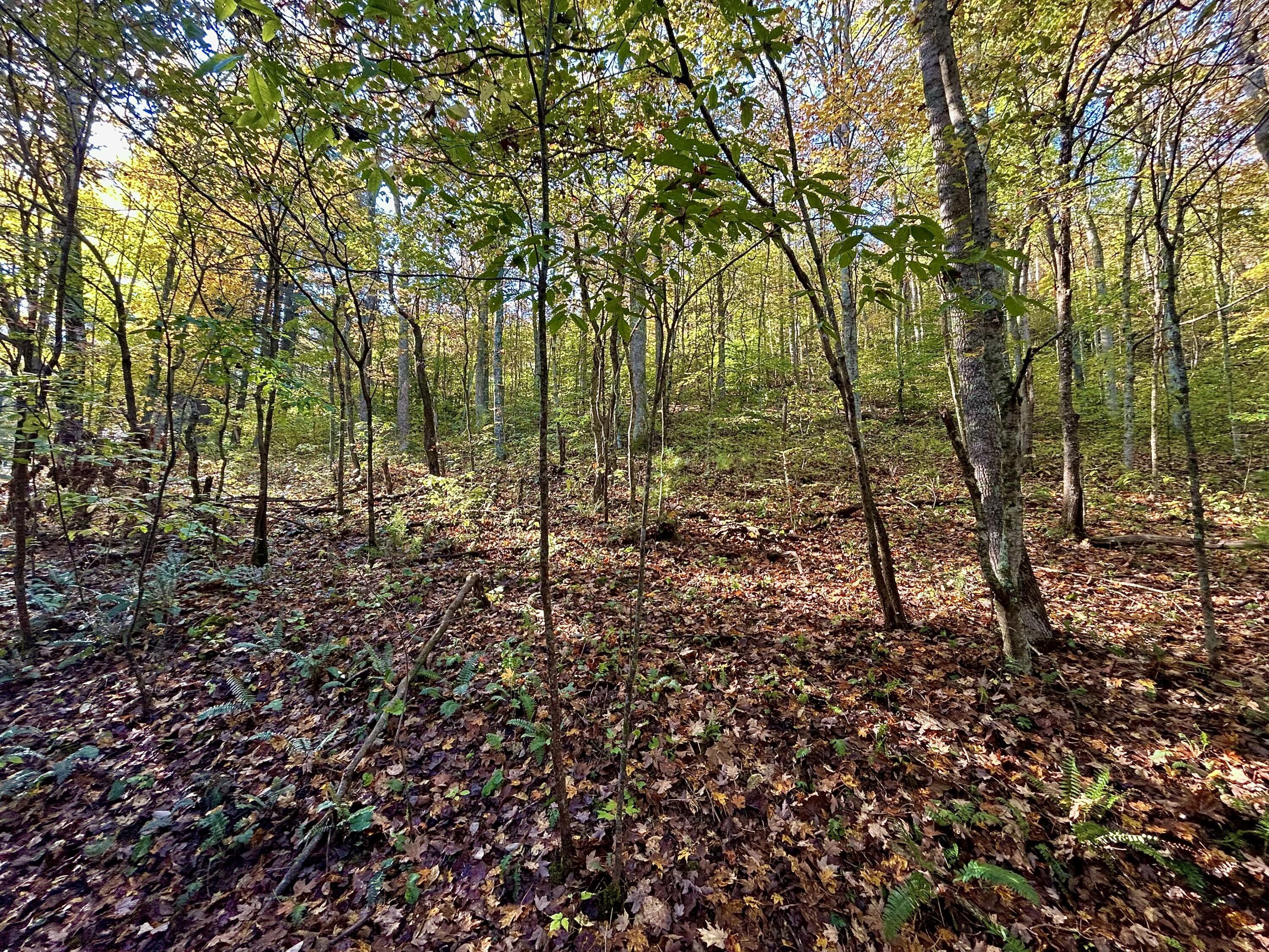 3435 Dry Creek Road Property Photo 8
