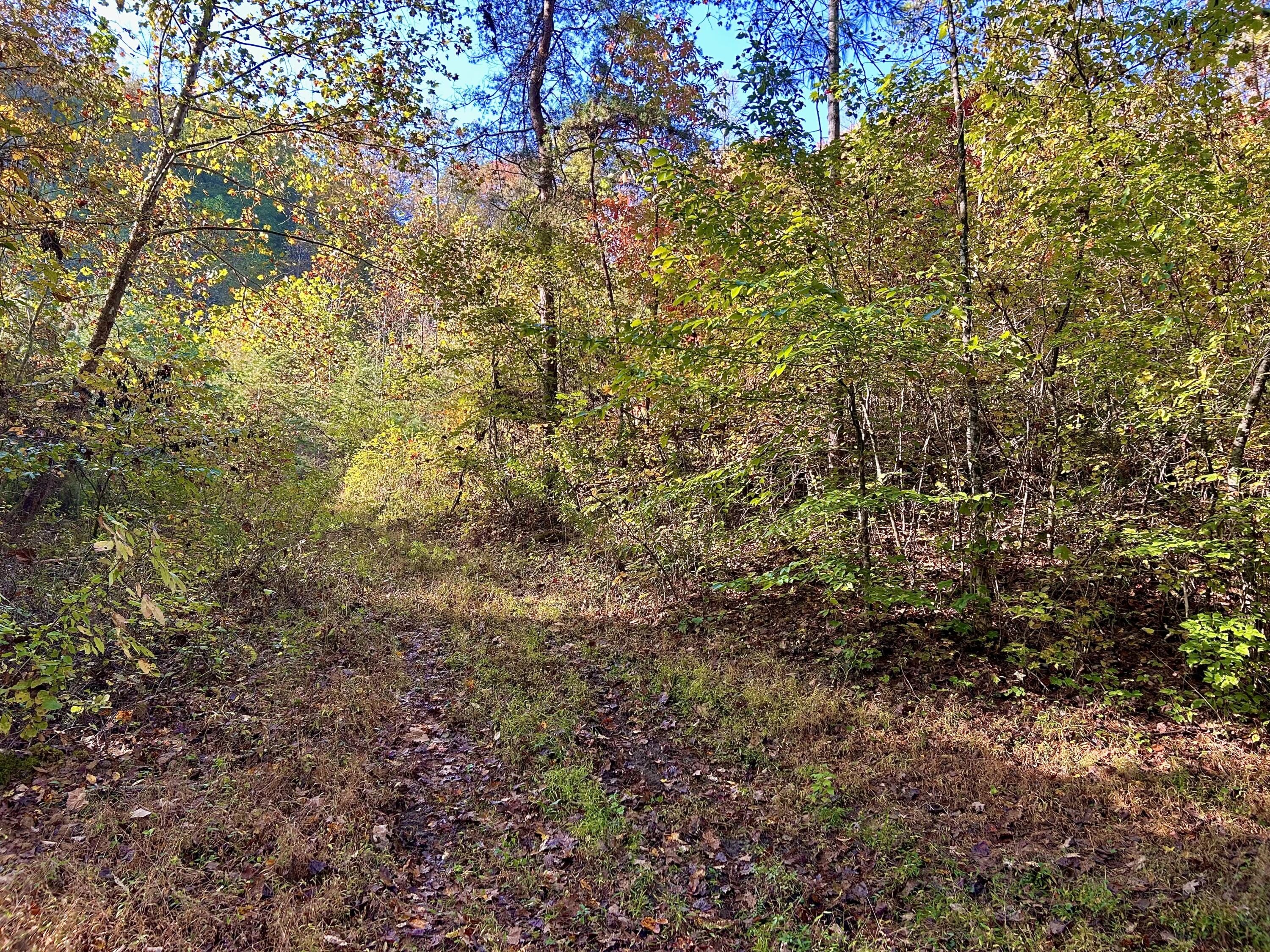 3435 Dry Creek Road Property Photo 10